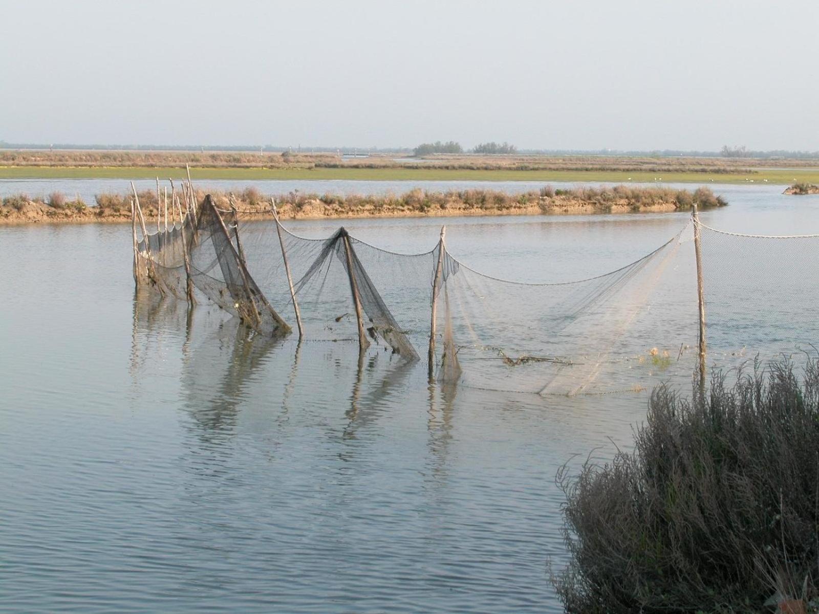 Studio für 4 Personen und 2 Kinder in Cavallino-Treporti, Adriaküste Italien Venedig und Umgebung view 3