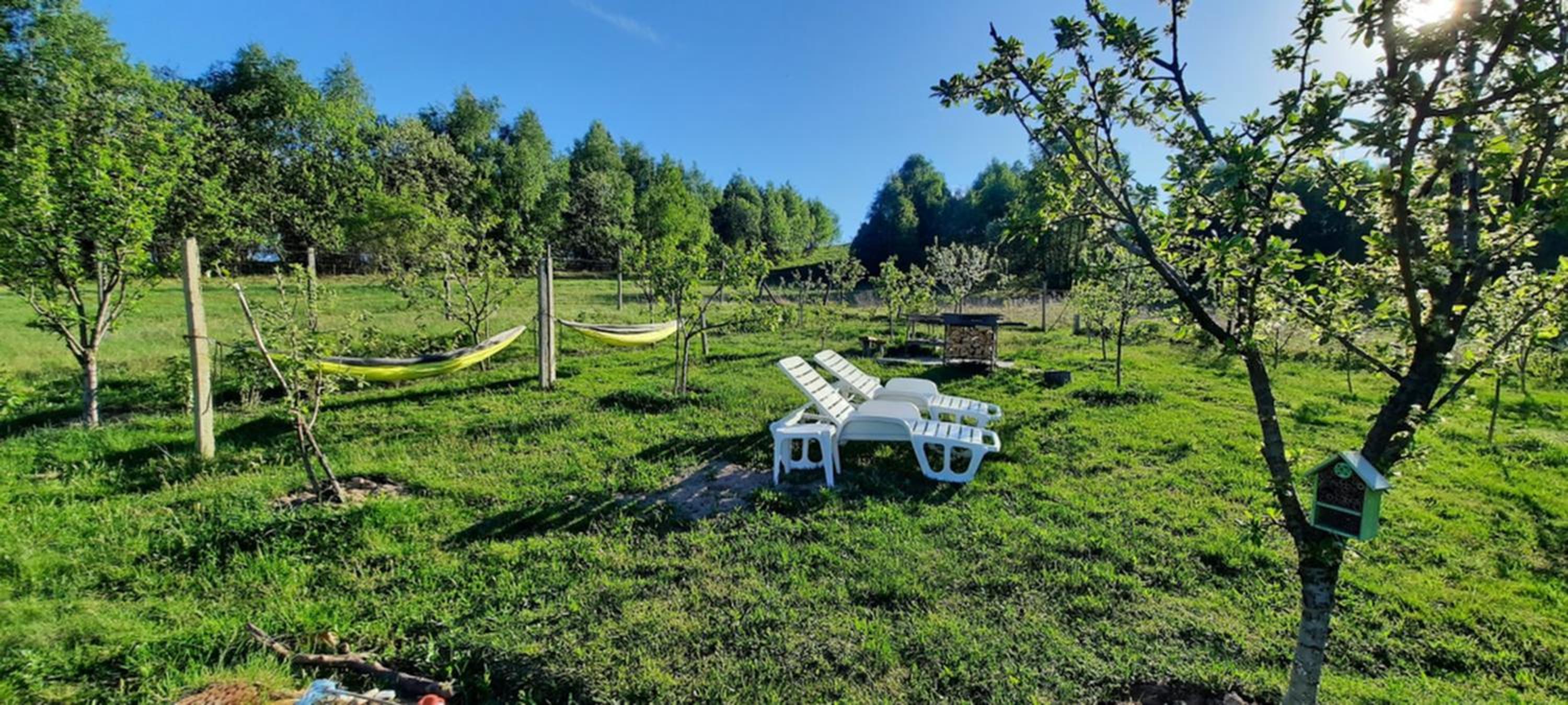 Stefana's Tiny House Nature Retreat view 5