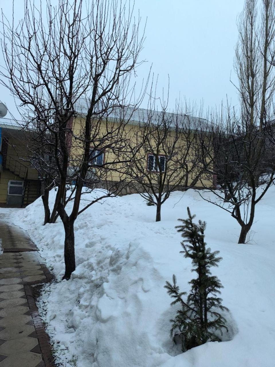 Photo 28