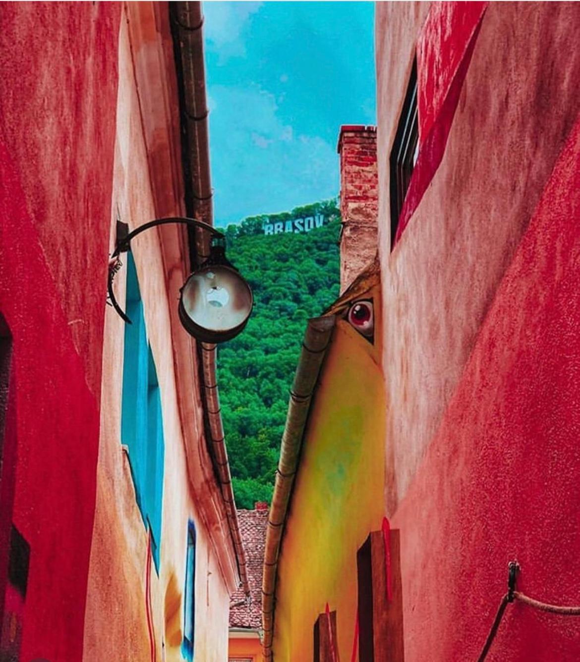 TREE House-Old Town Brașov