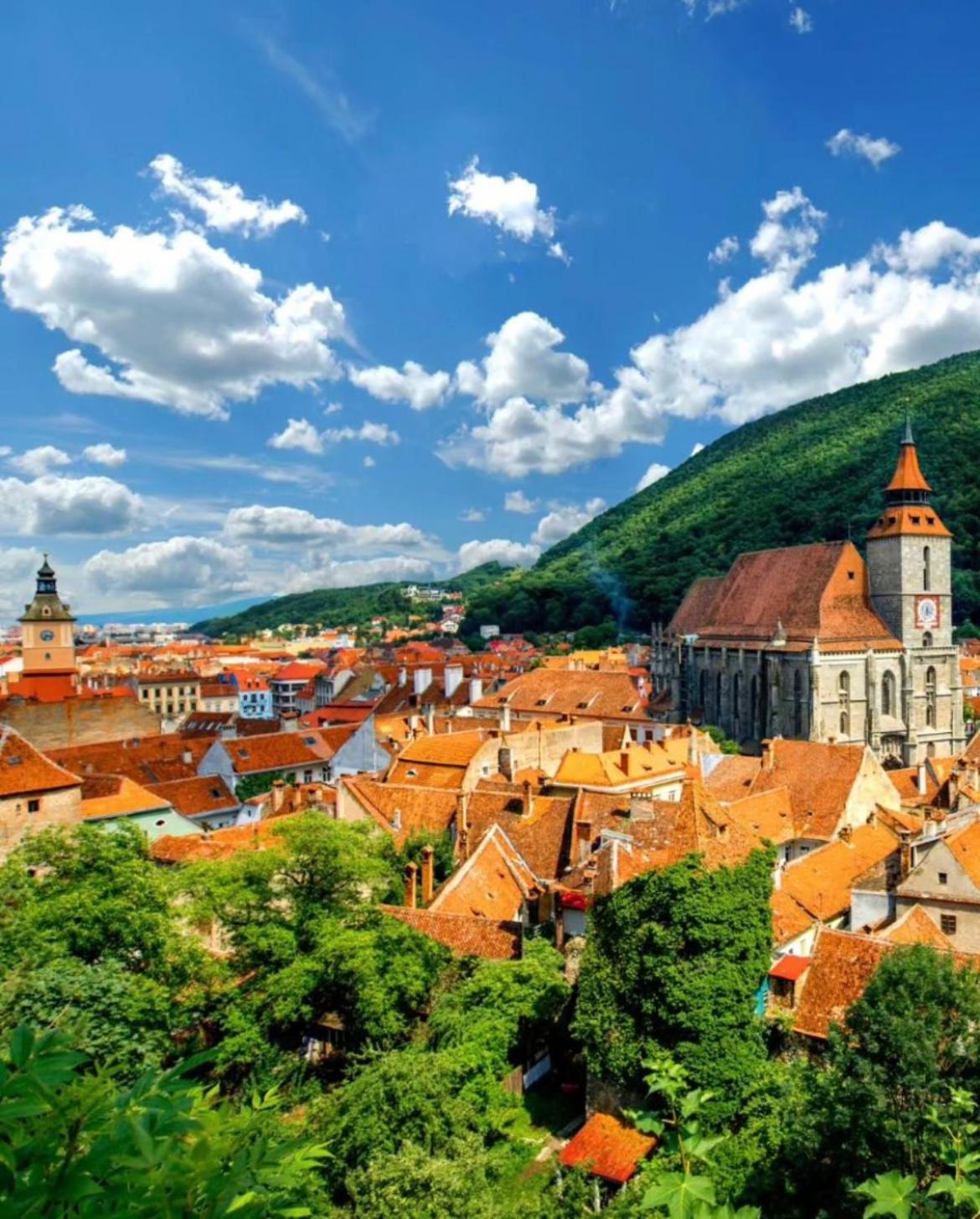 TREE House-Old Town Brașov