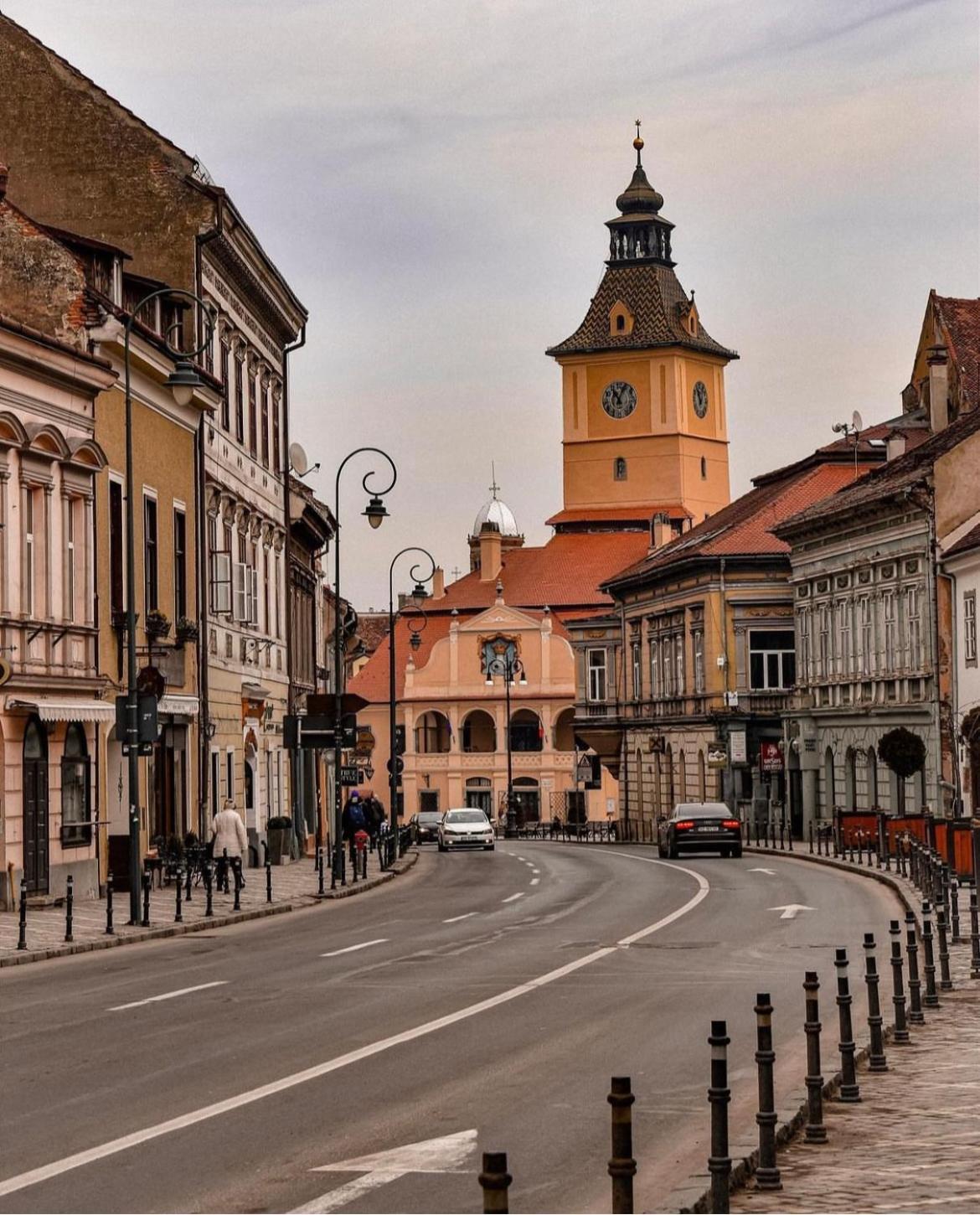 TREE House-Old Town Brașov