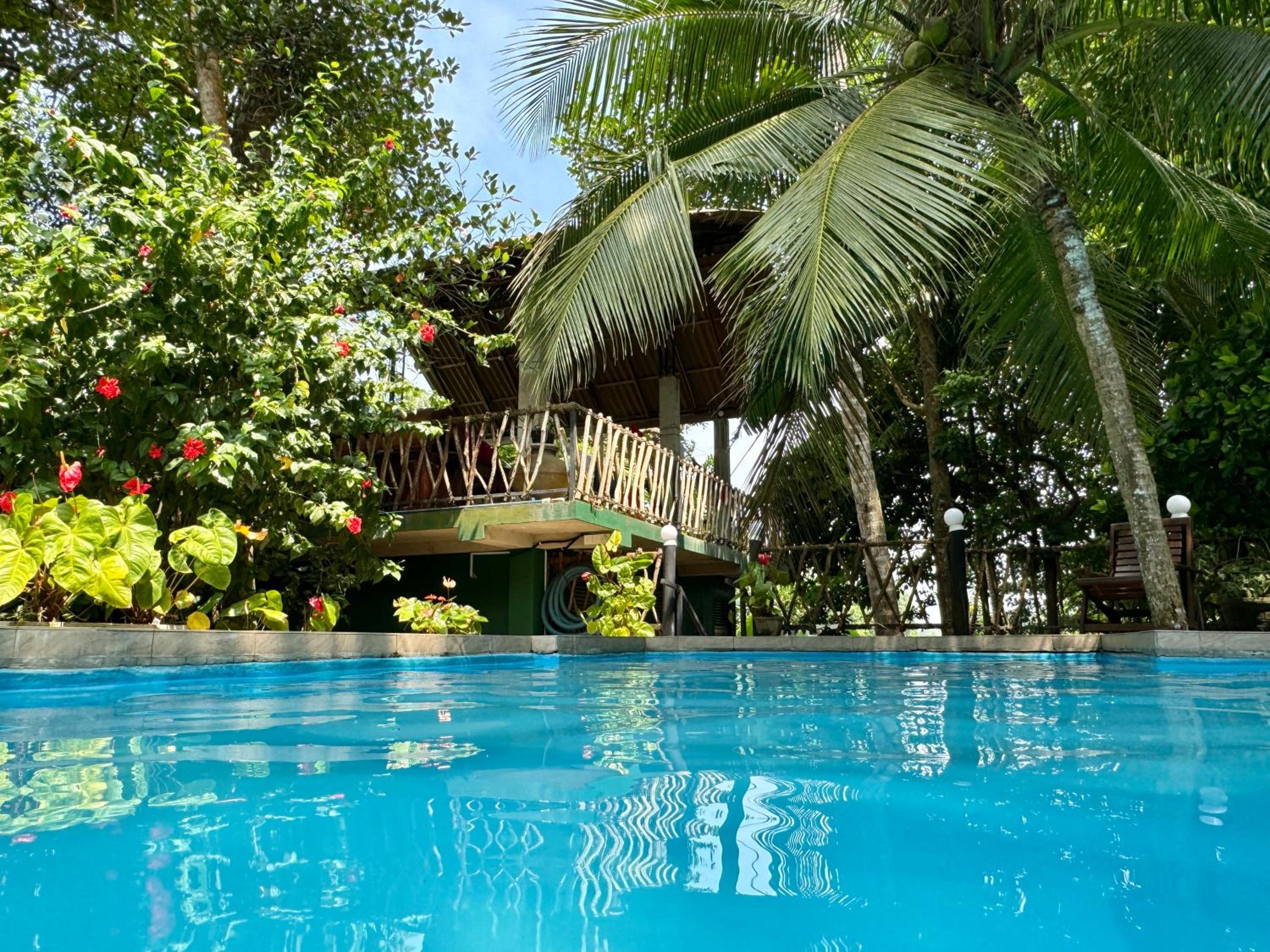 Swastha Ayurveda Villa view 4