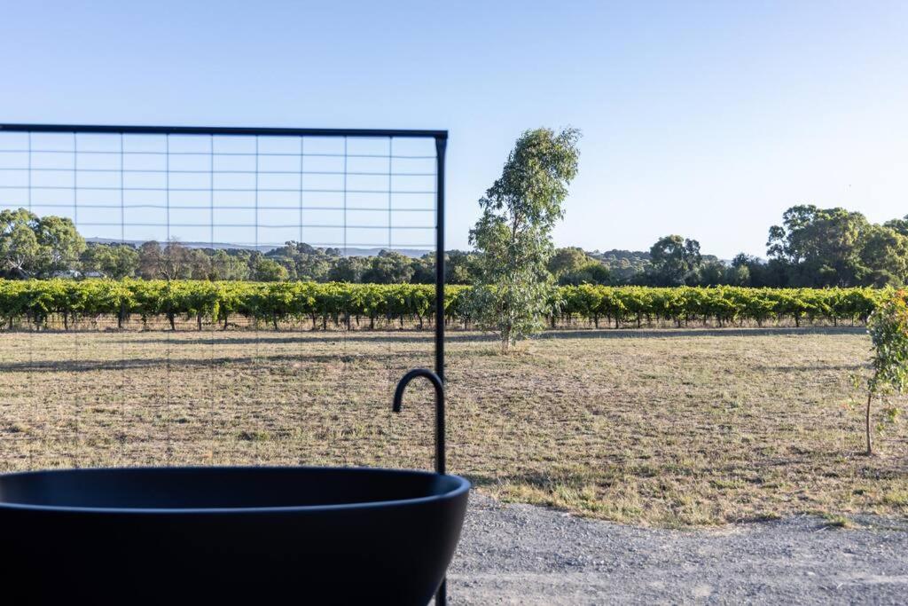 Luxury Vineyard Cabin Escape