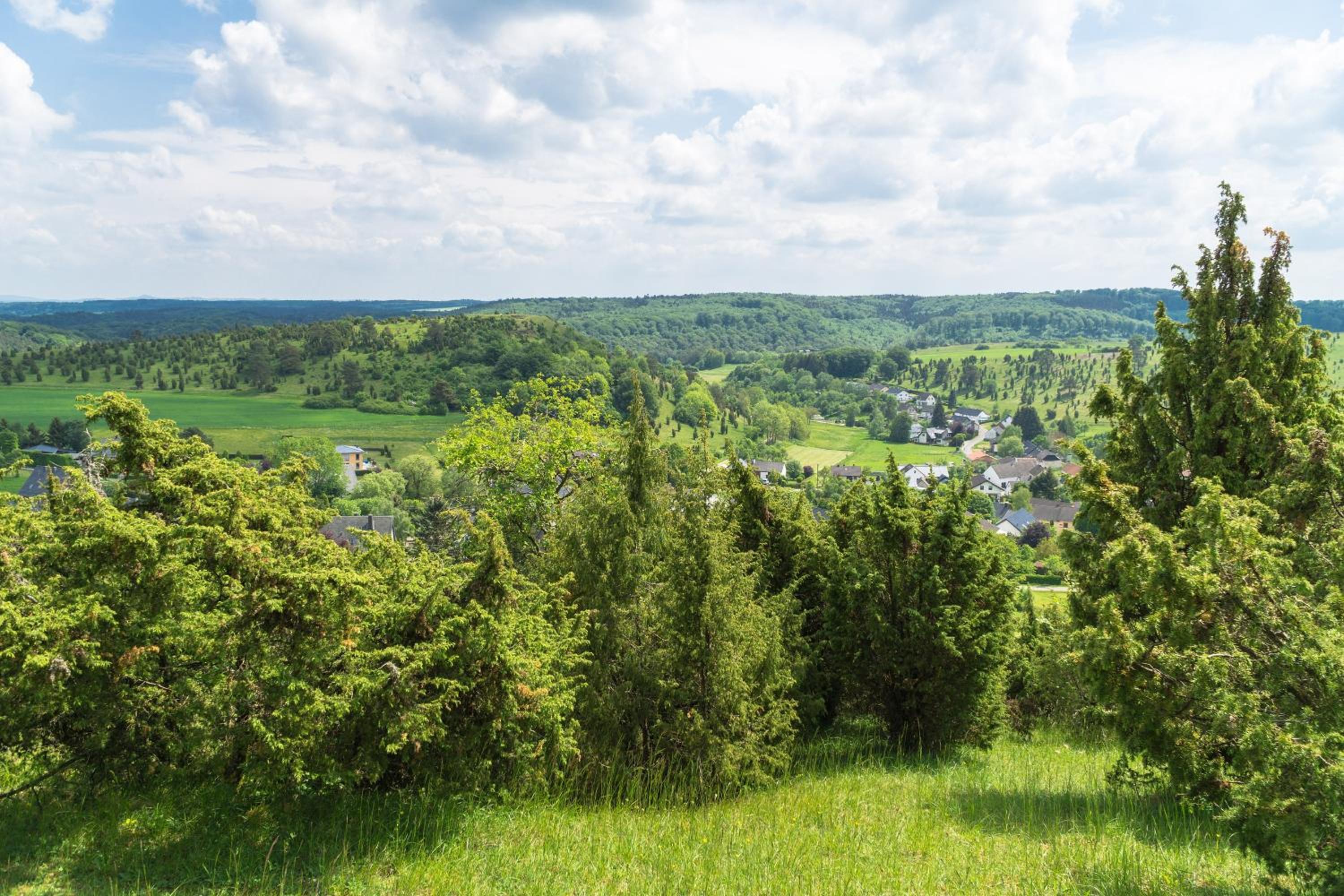 Holzhaus Onkel Fritz mit Sauna und Whirlwanne