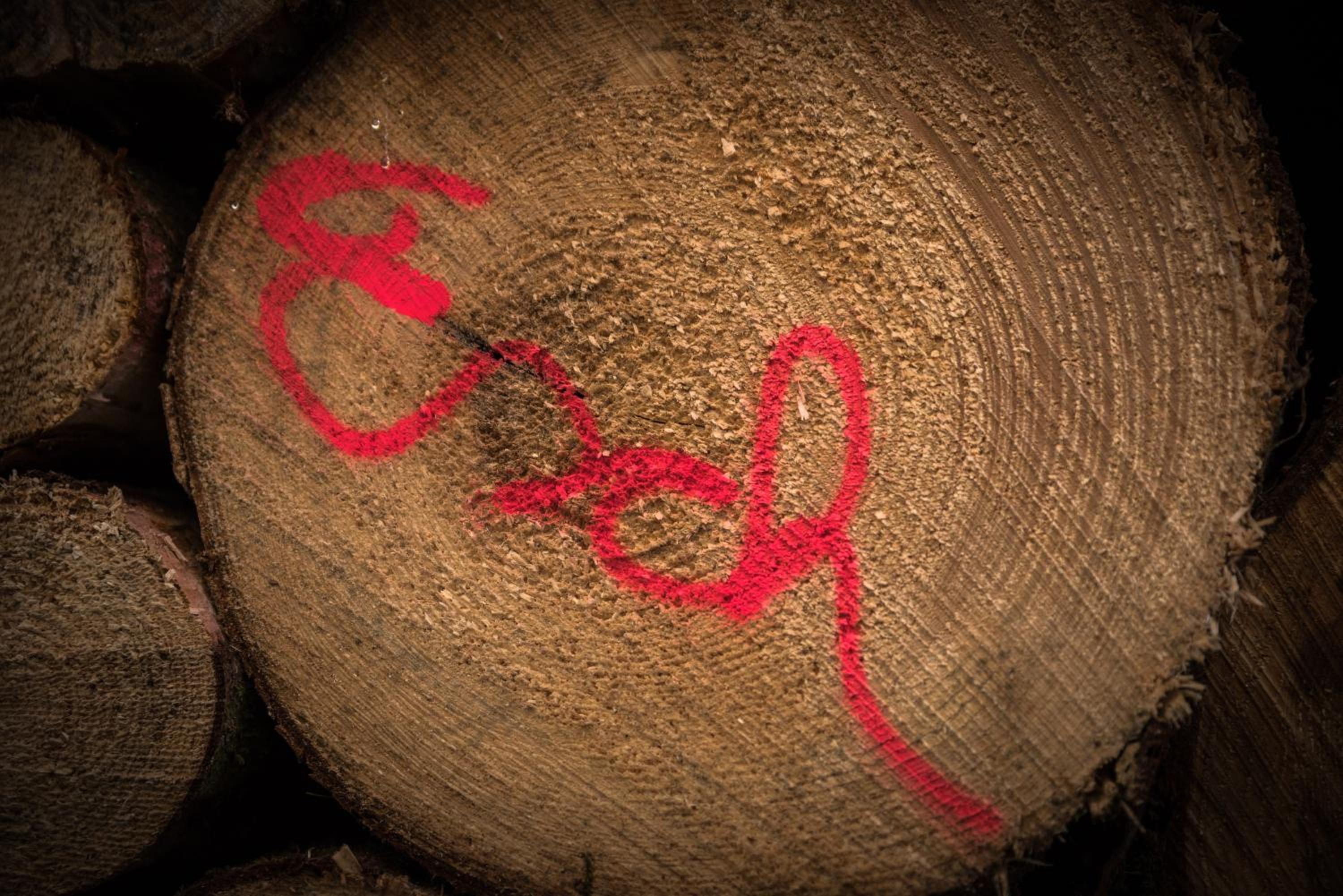 Holzhaus Onkel Fritz mit Sauna und Whirlwanne