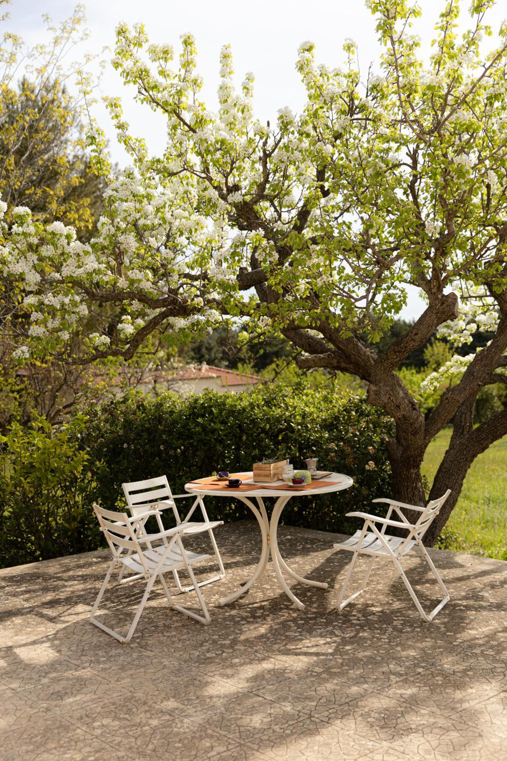 Casina al Castello - Natura e Relax view 4