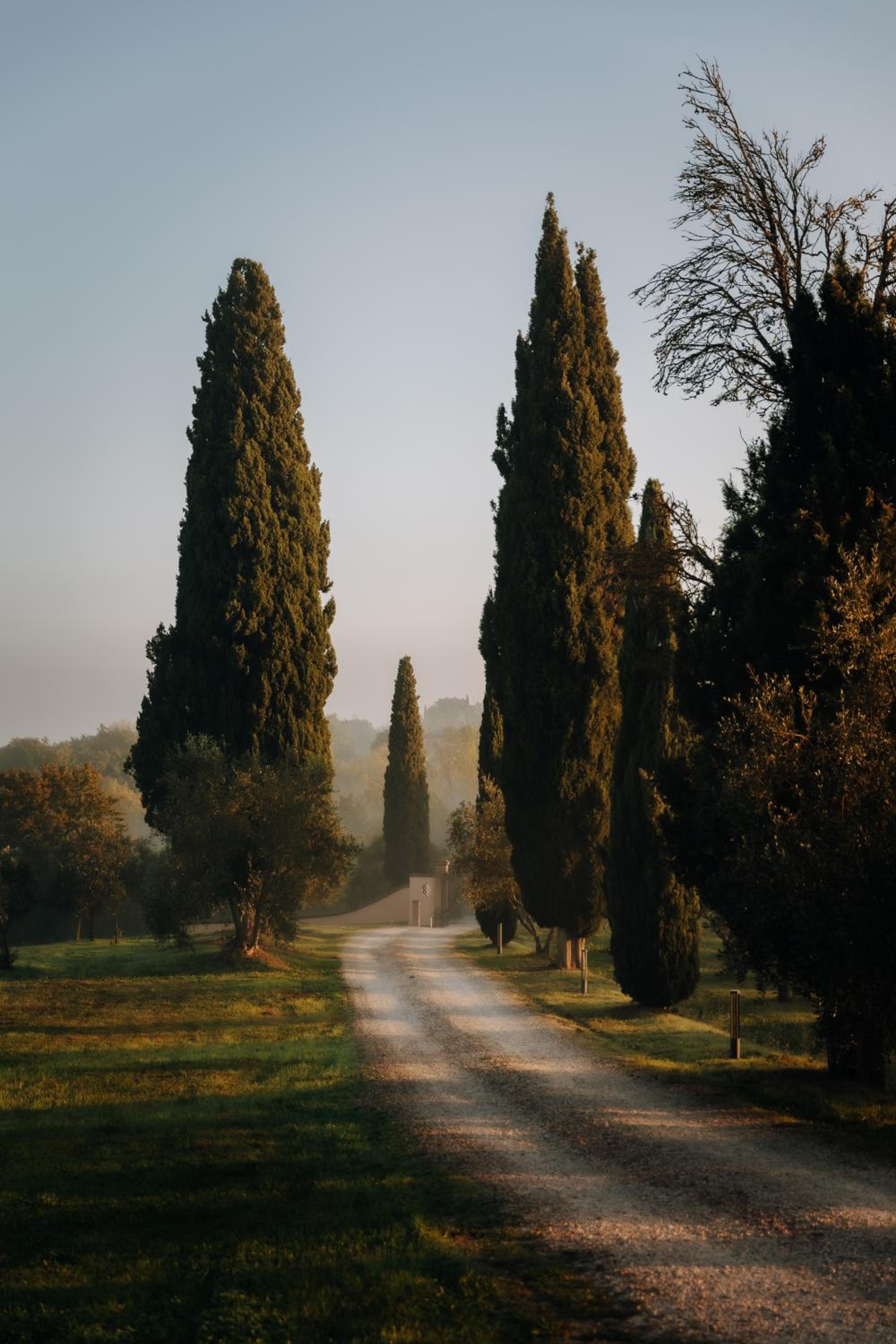 Porsenna Resort