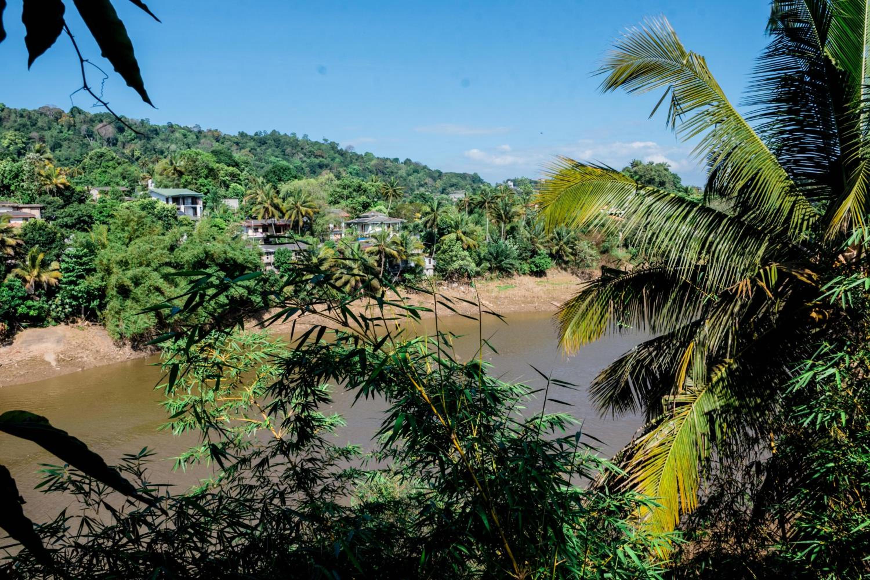 Riverview Bliss