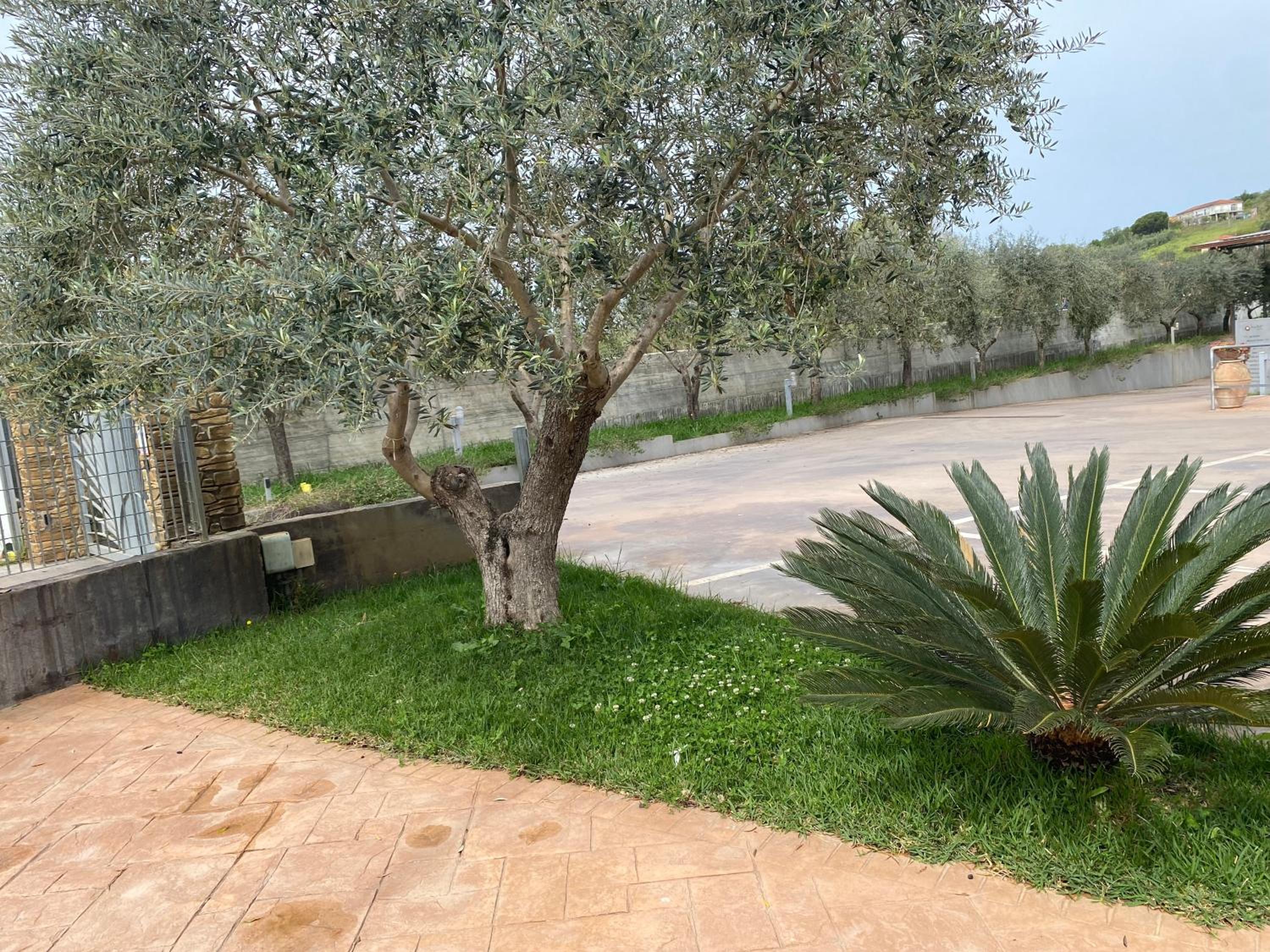 Miro' Agropoli