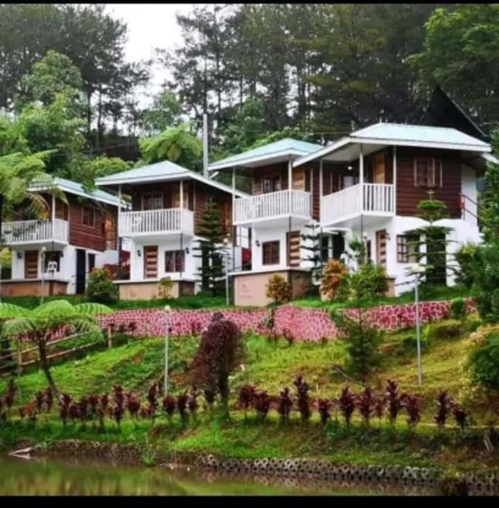 Reel Place