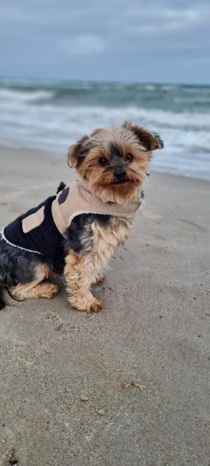Residenz Lausitz - Apartments für Urlaub mit Hund