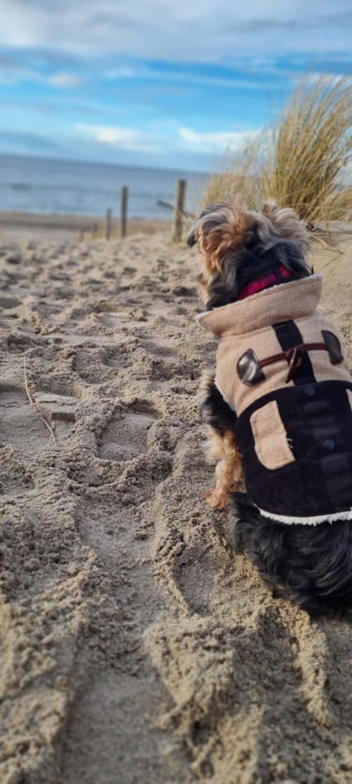 Residenz Lausitz - Apartments für Urlaub mit Hund