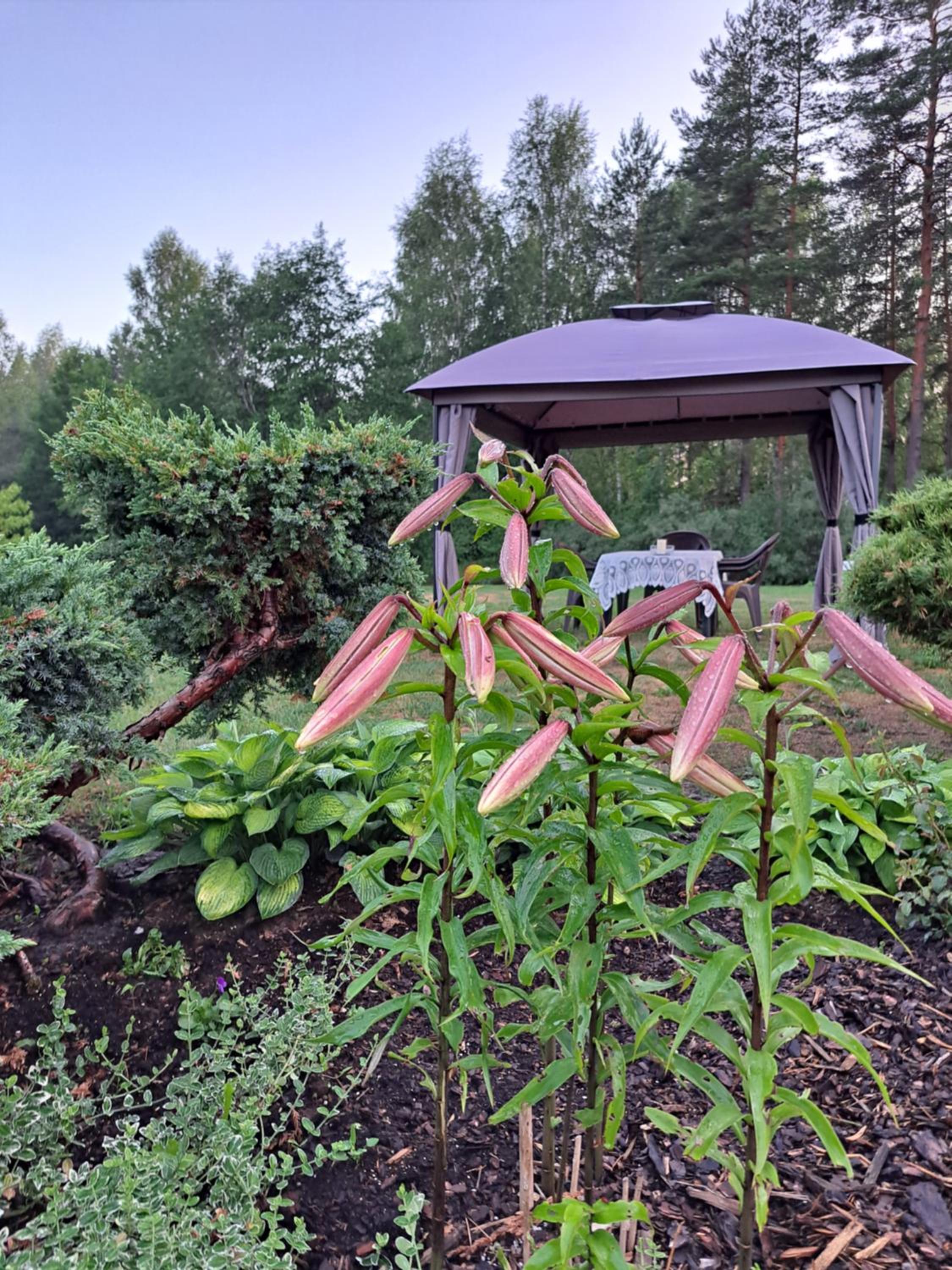 Brīvdienu lauku māja