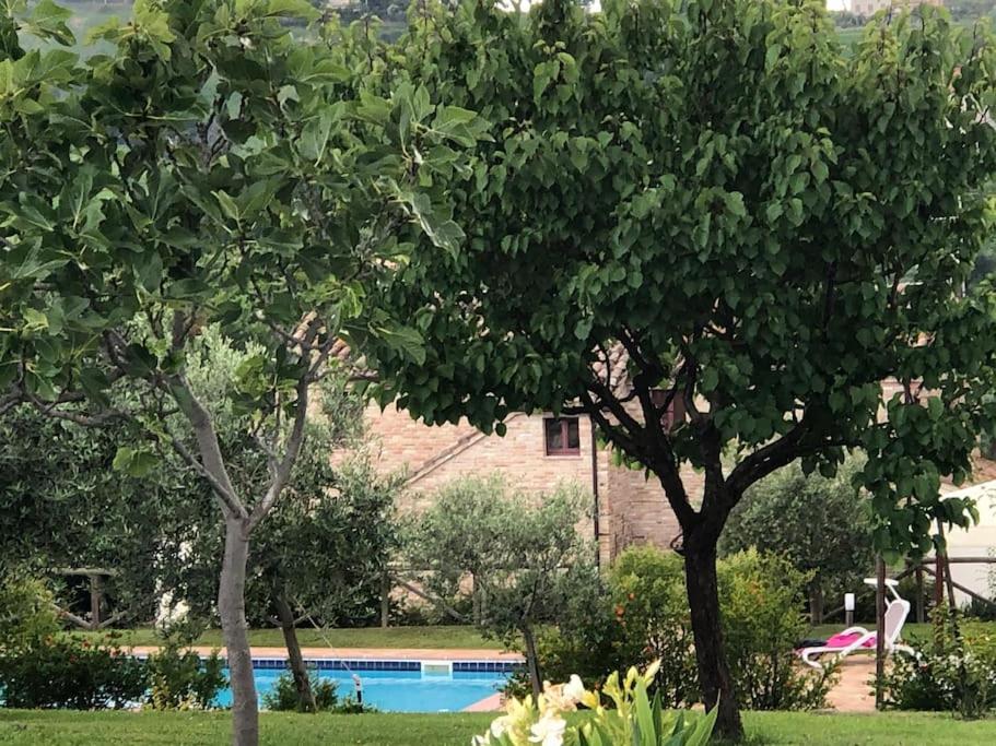 Casa San Pietro, restored farmhouse with pool