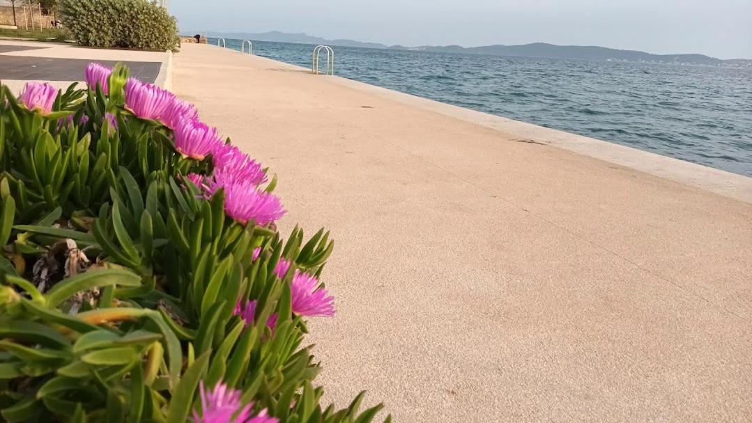 Apartman Sandra - free private parking and garden