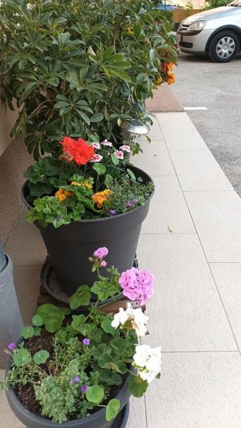 Apartman Sandra - free private parking and garden