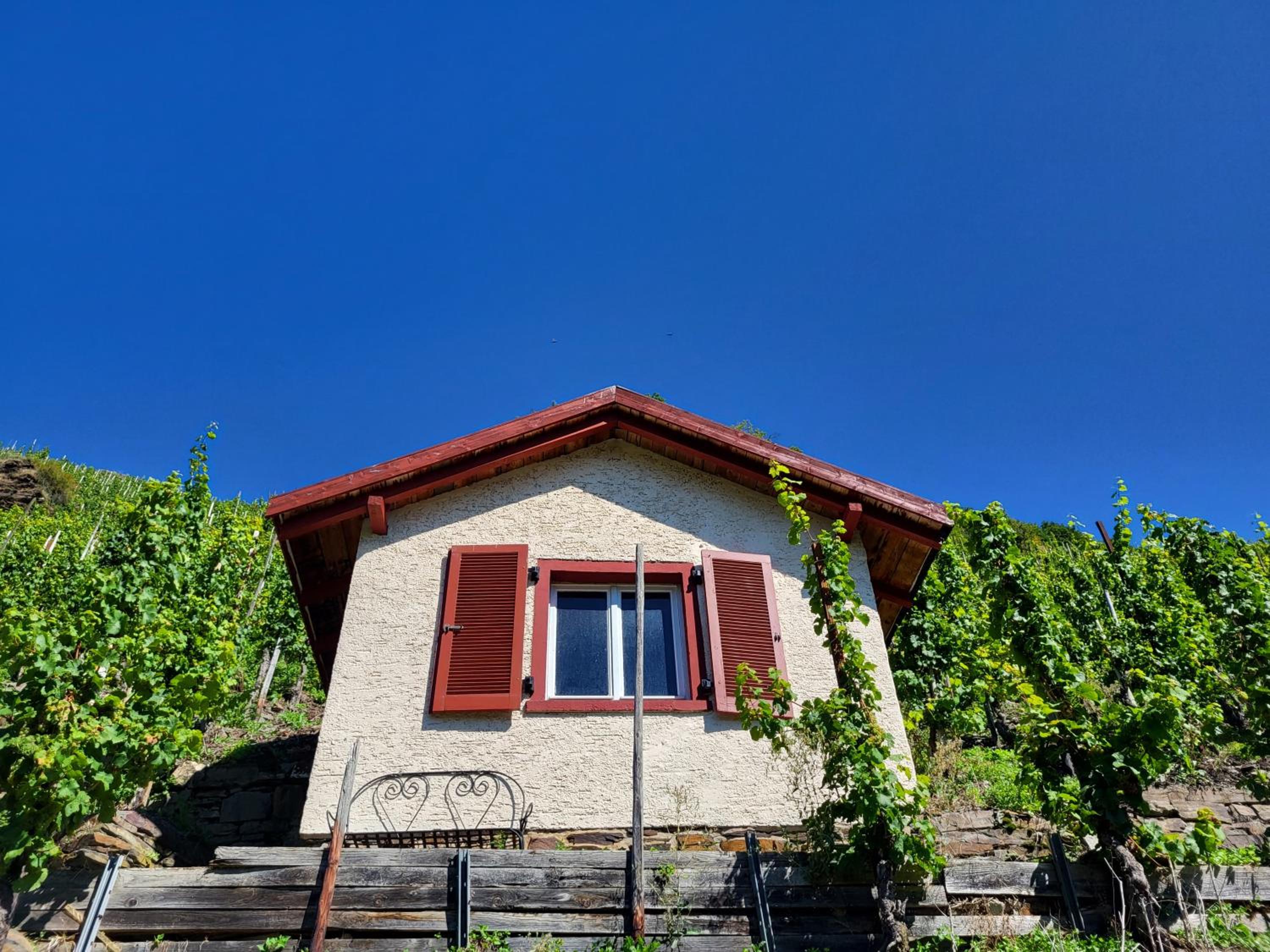 Ferienhaus Am Moselstausee