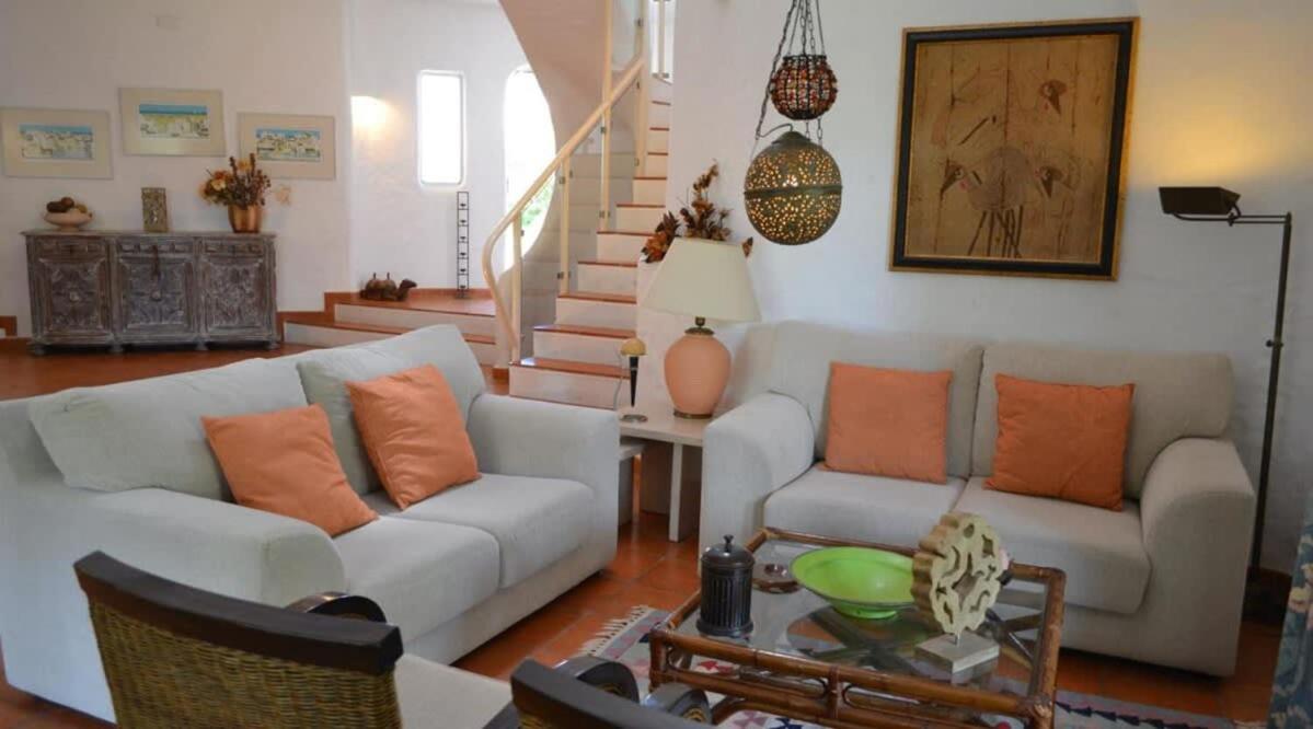 Villa Pinhal- Beautiful Villa located in quiet area