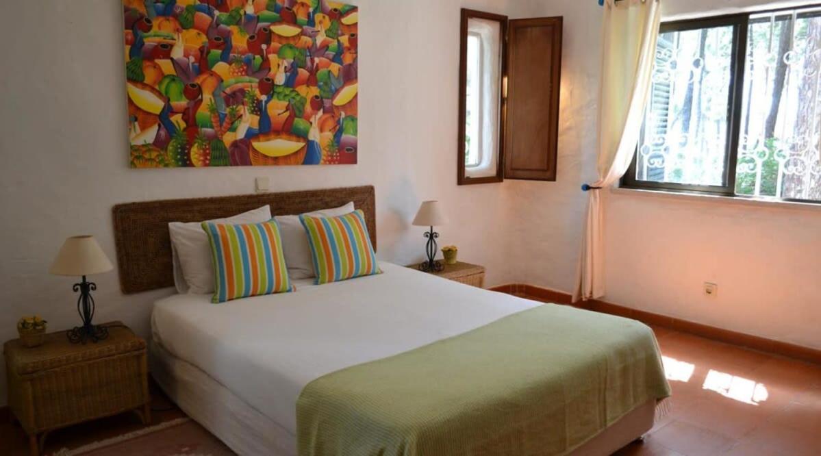 Villa Pinhal- Beautiful Villa located in quiet area
