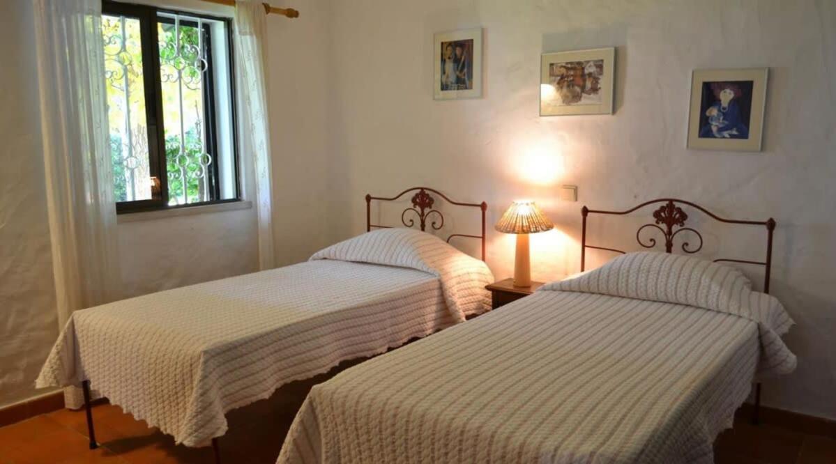 Villa Pinhal- Beautiful Villa located in quiet area