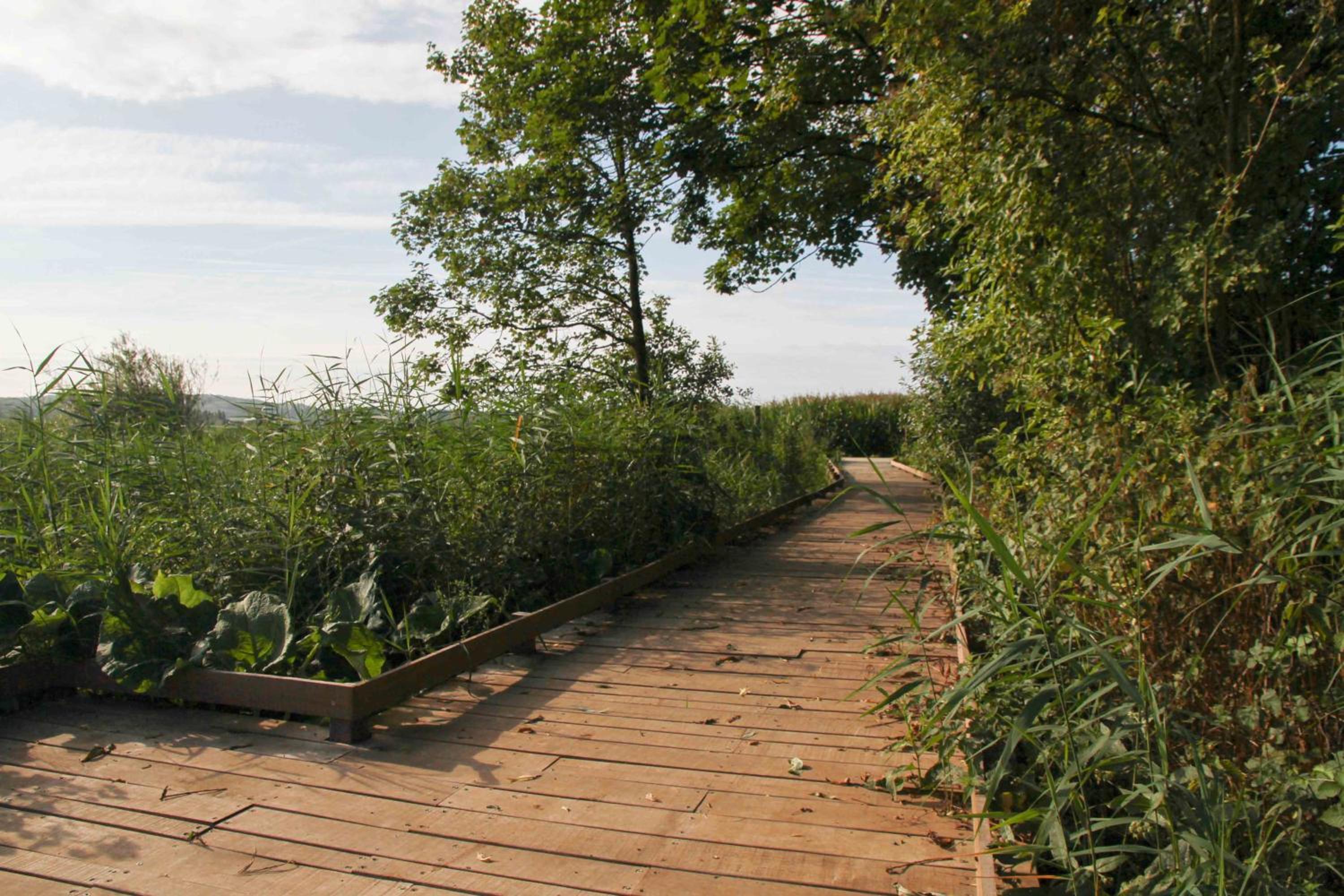 Terre d'Ô