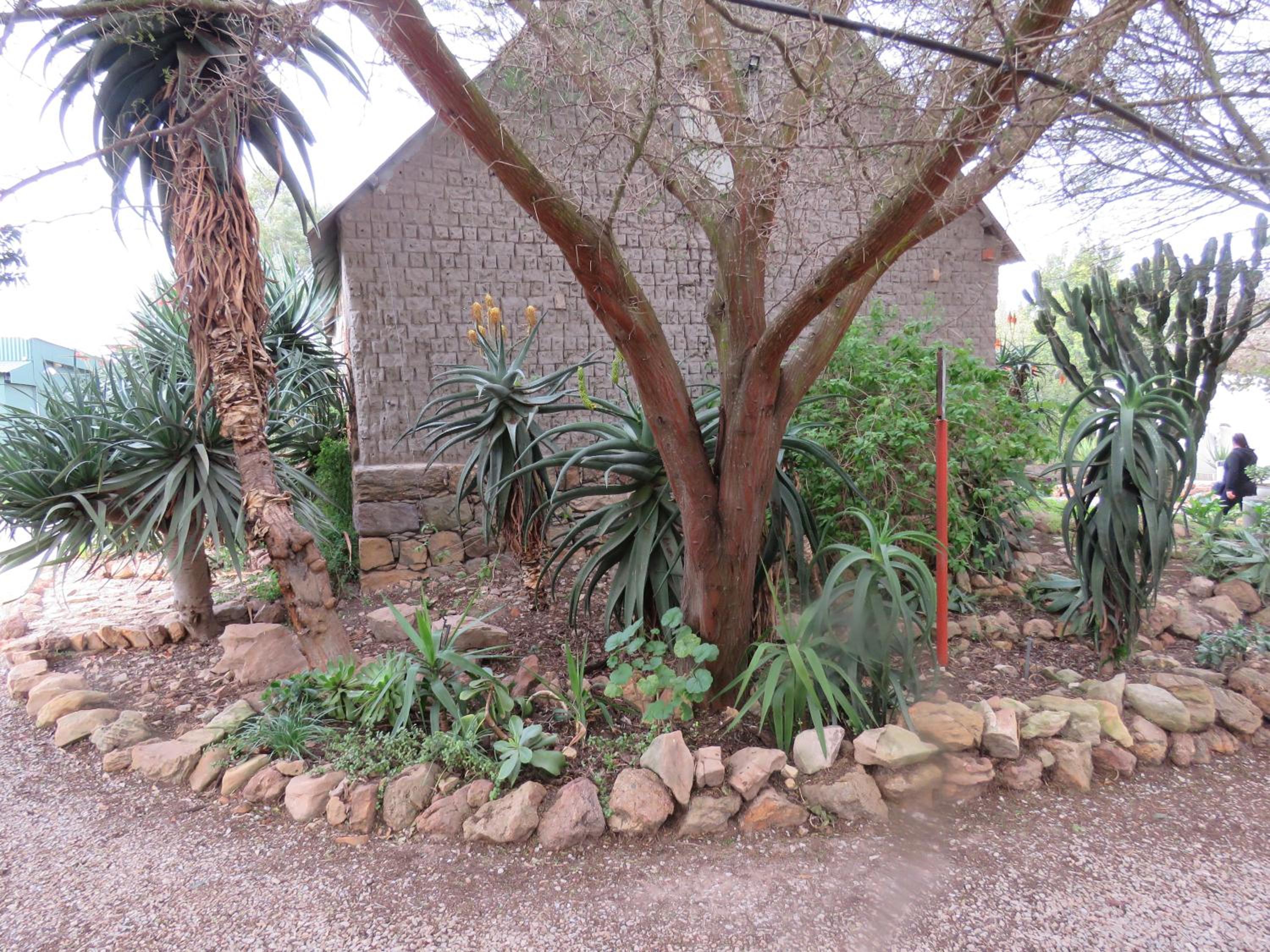 Photo 17