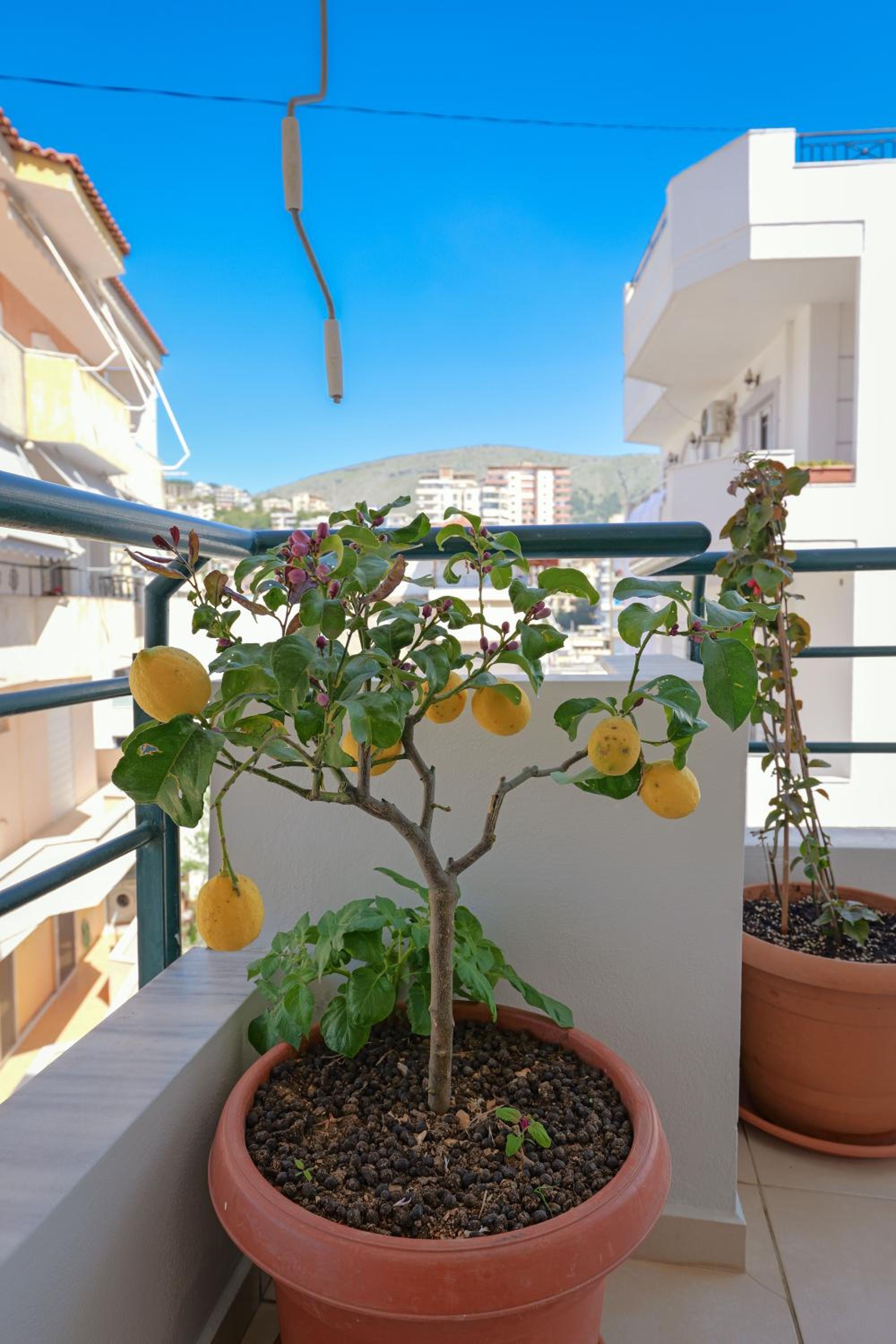 Emiljano Apartment
