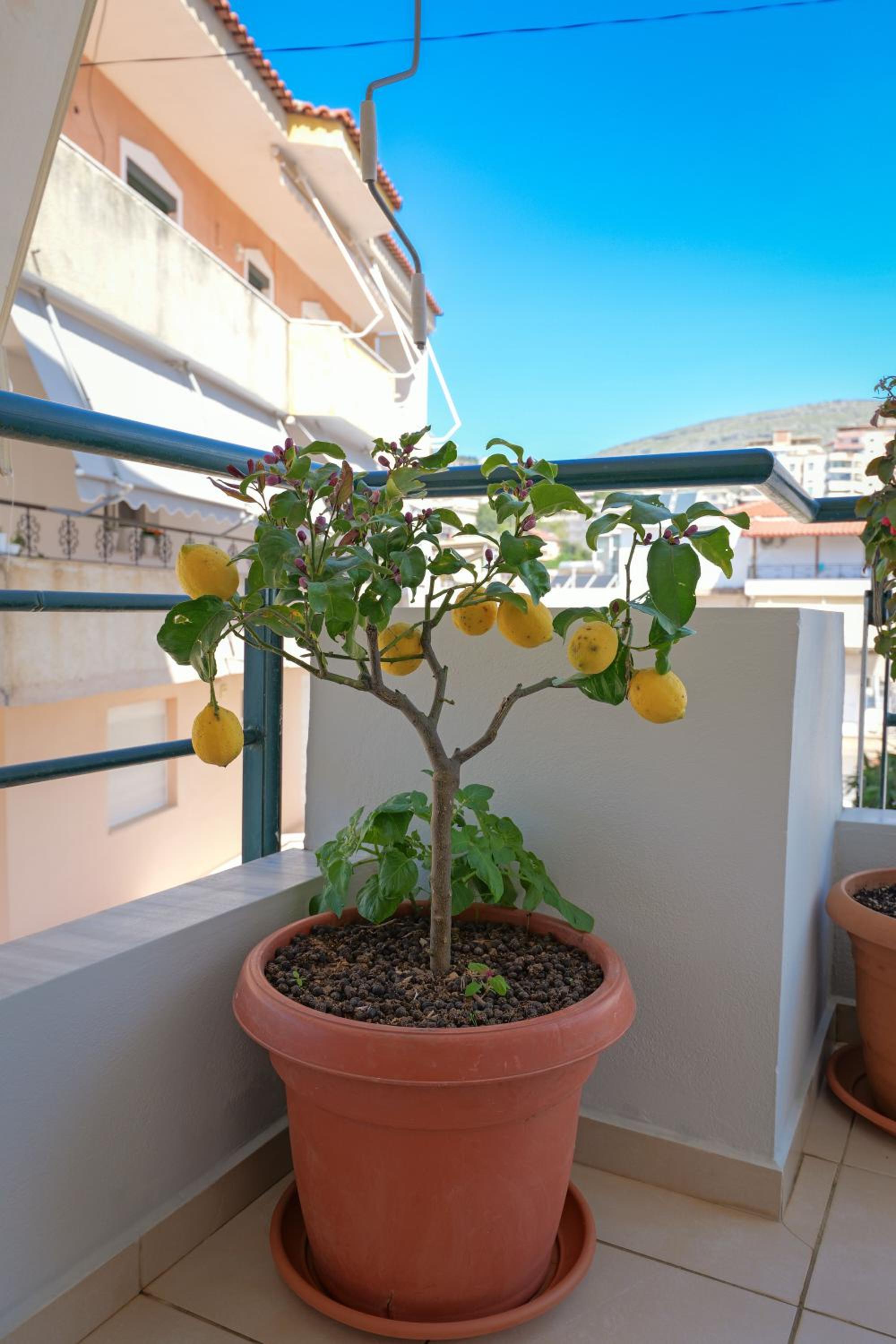 Emiljano Apartment