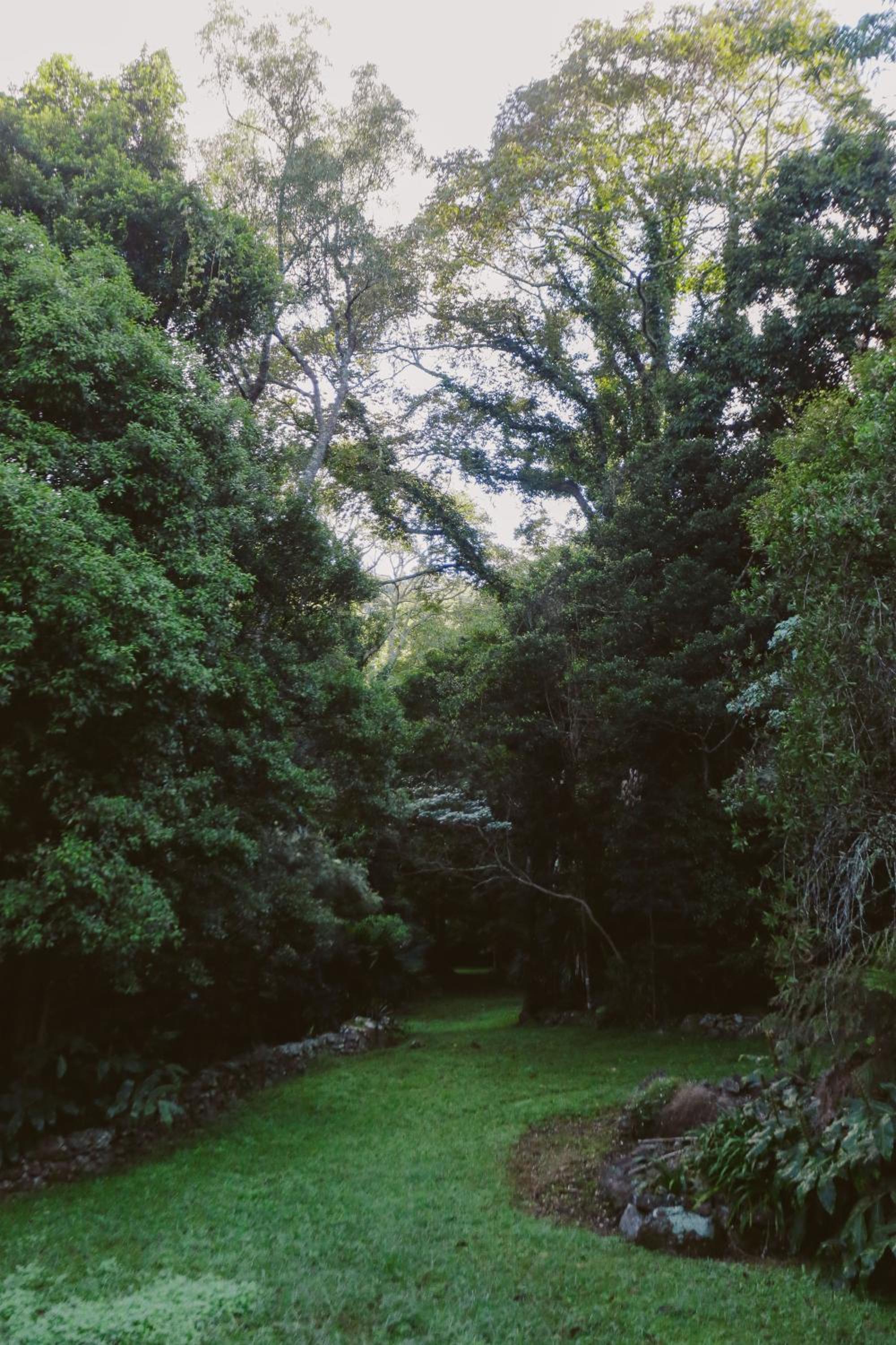 Hinterland Retreat on 30 acres - Sleeps 6