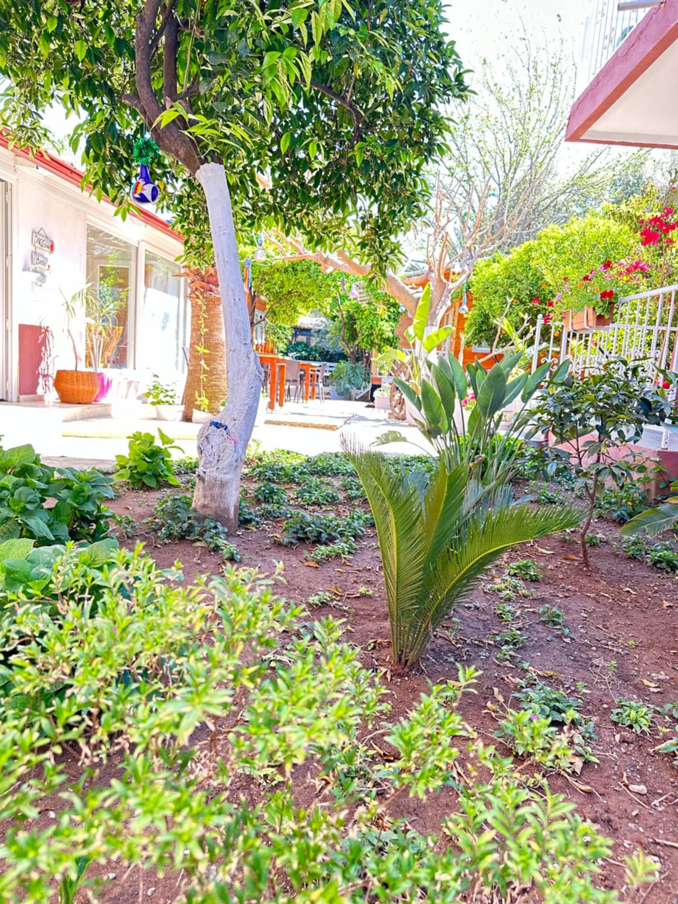 Cemils Guest House en Cıralı