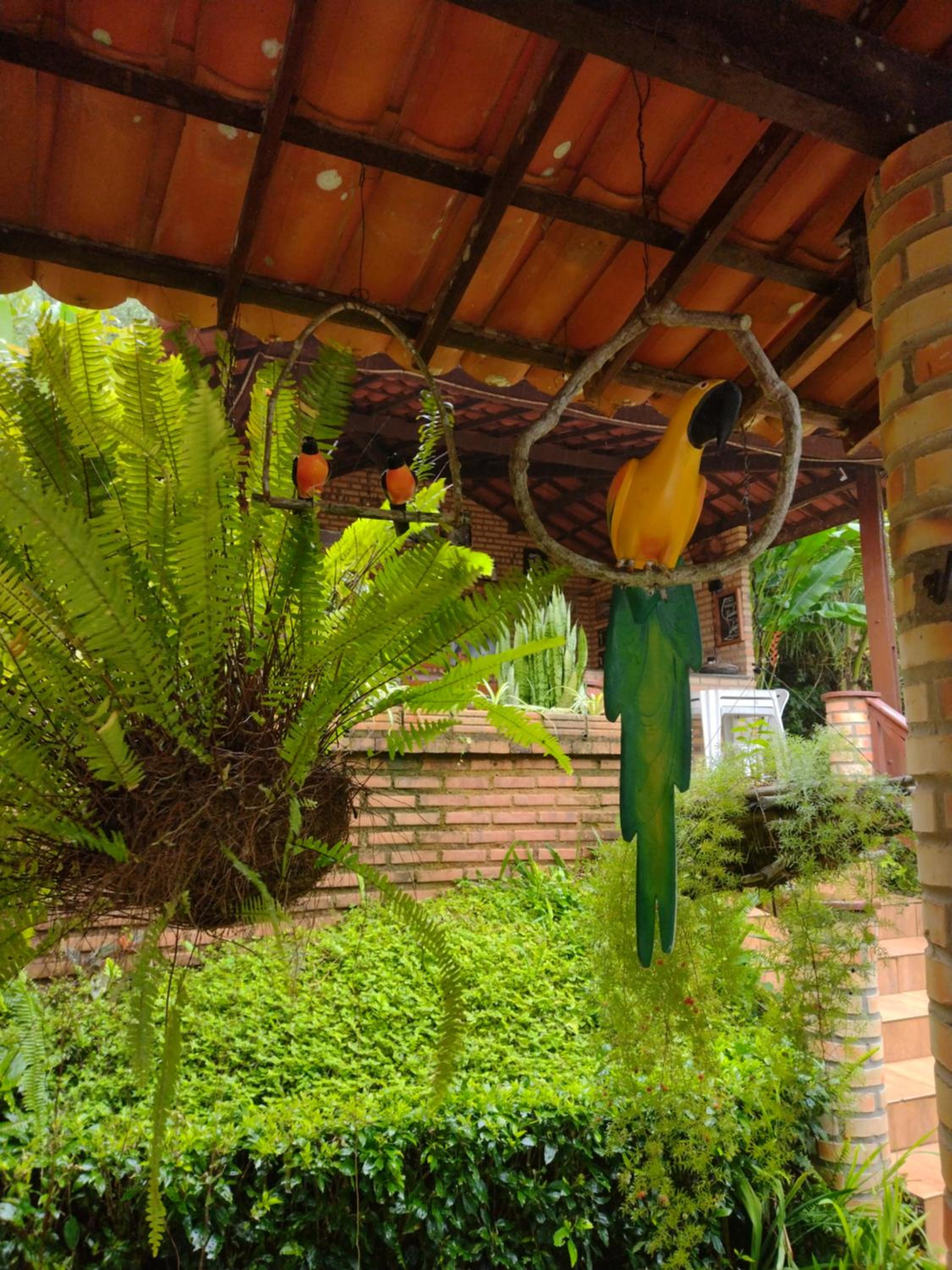 Sitio vó Dora