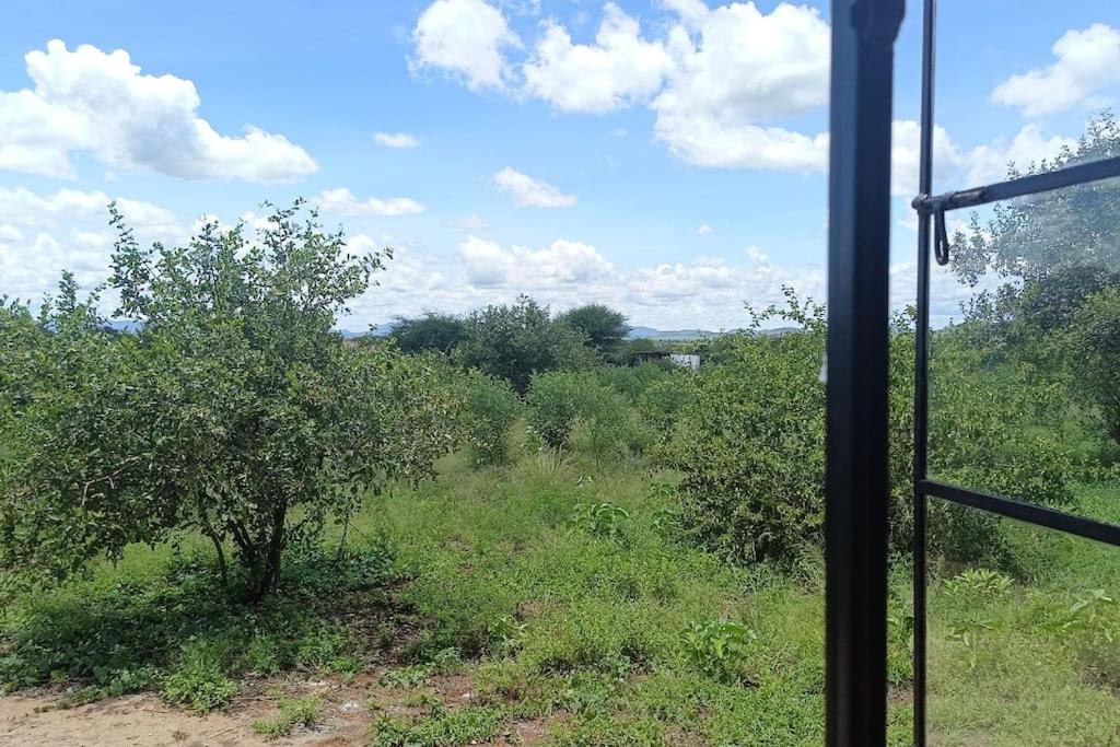 Kichunguu FarmStay Cottage, photo 30