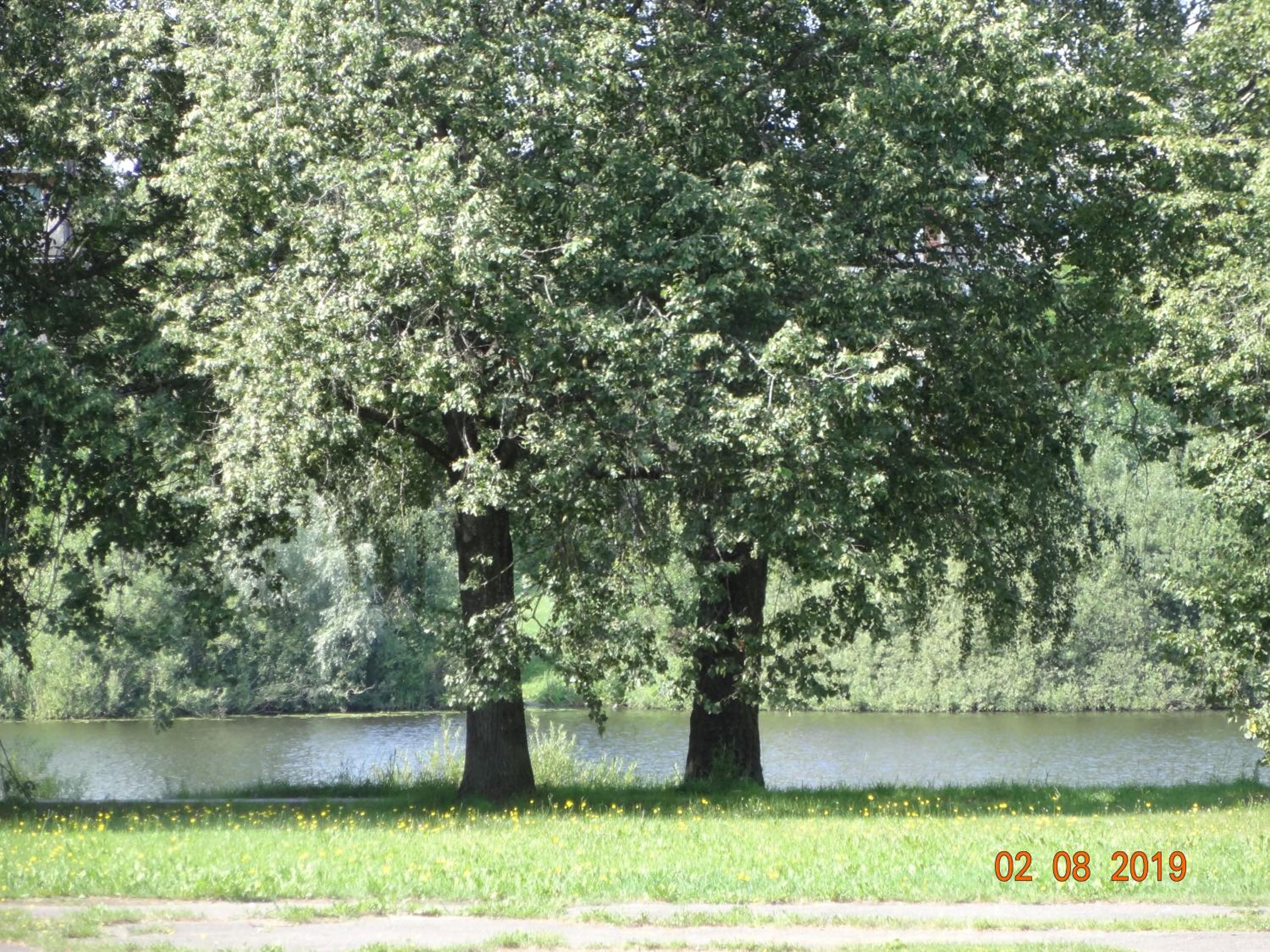 BUDroom