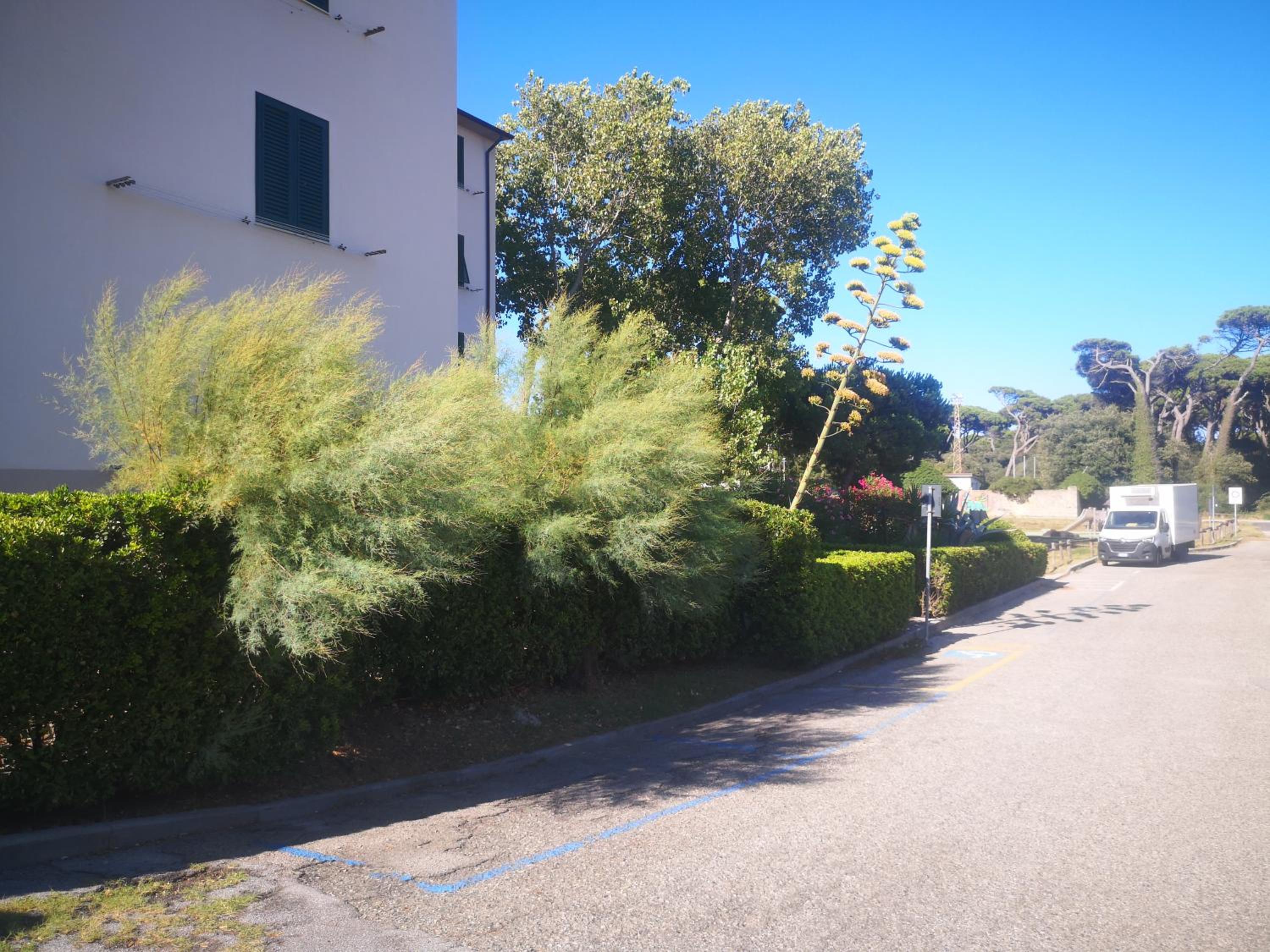 Photo 39
