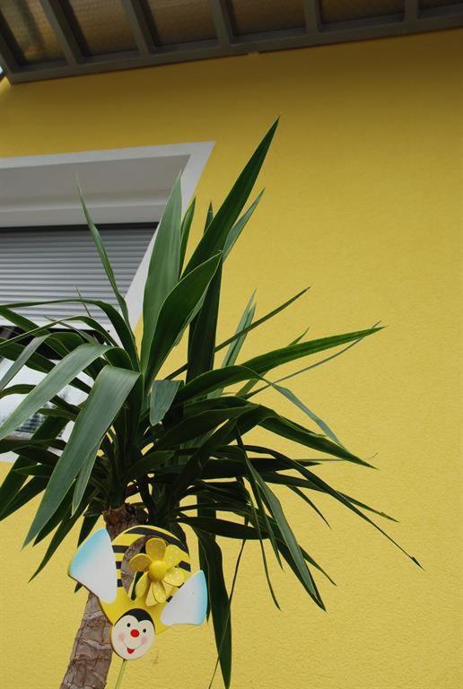 Pension Agnes