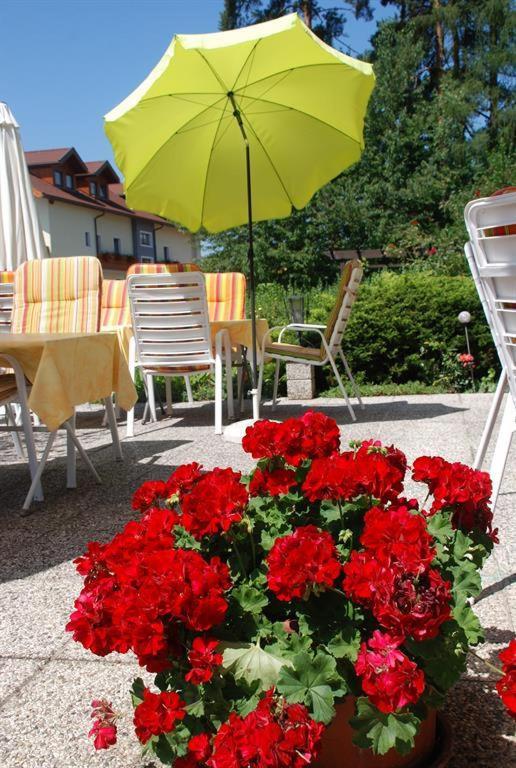 Pension Agnes