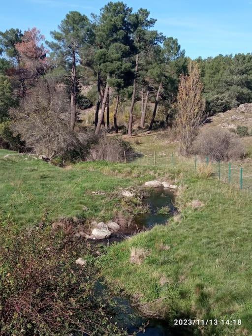 De Brevas A Higos view 5