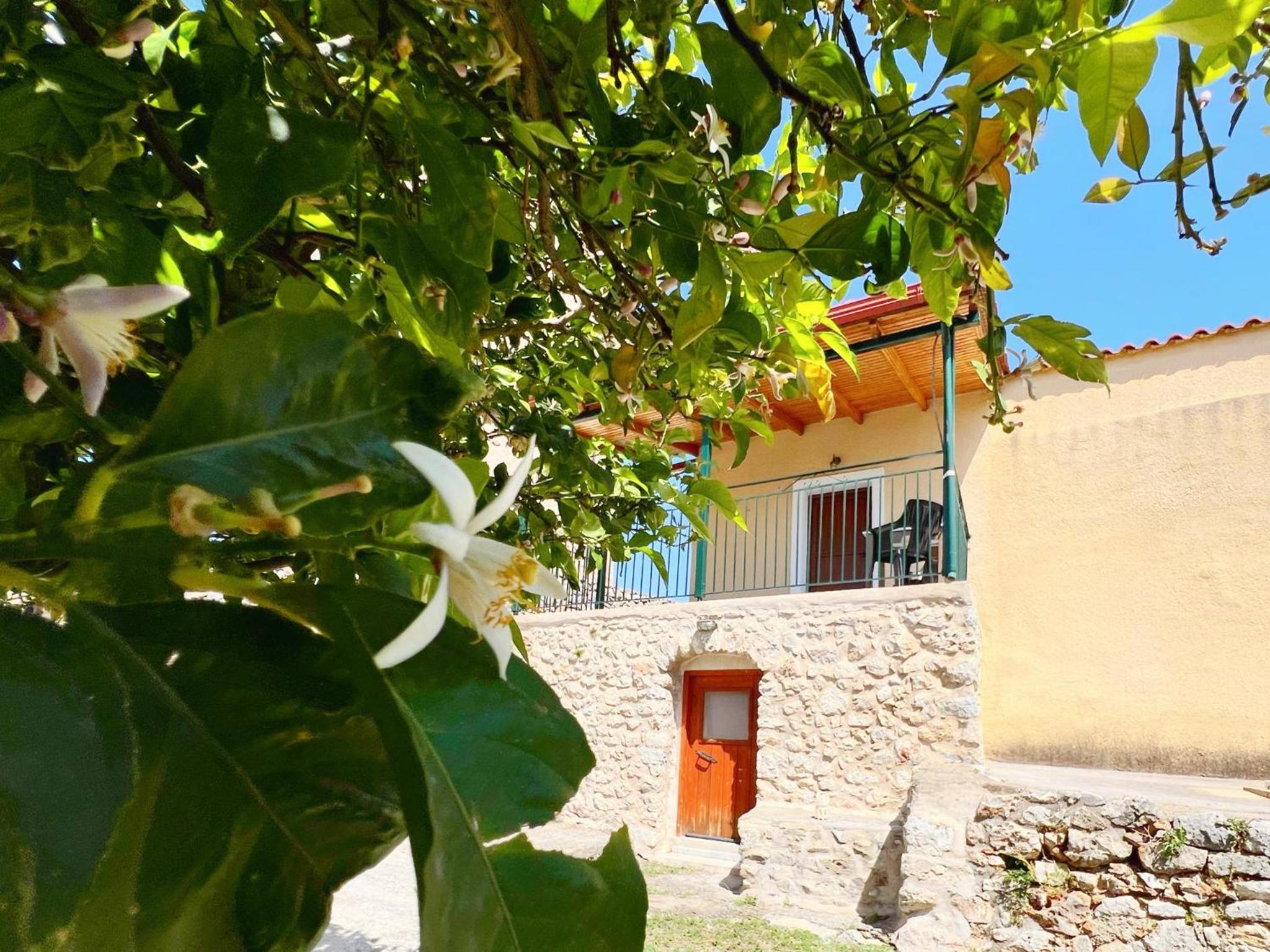 Leonidas' Guest House view 5