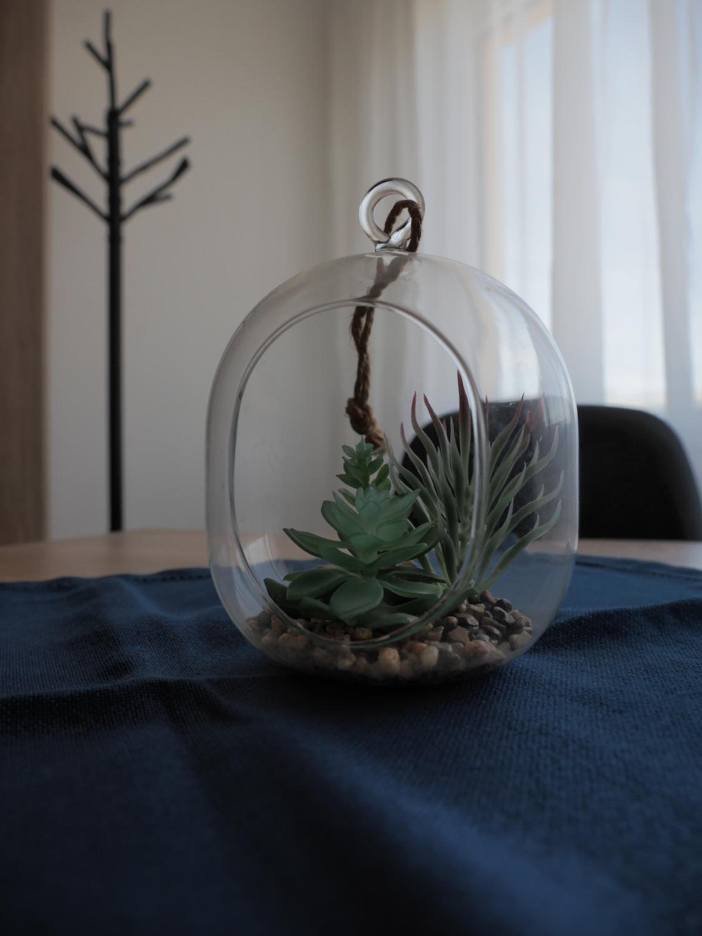 Apartmani Rosica