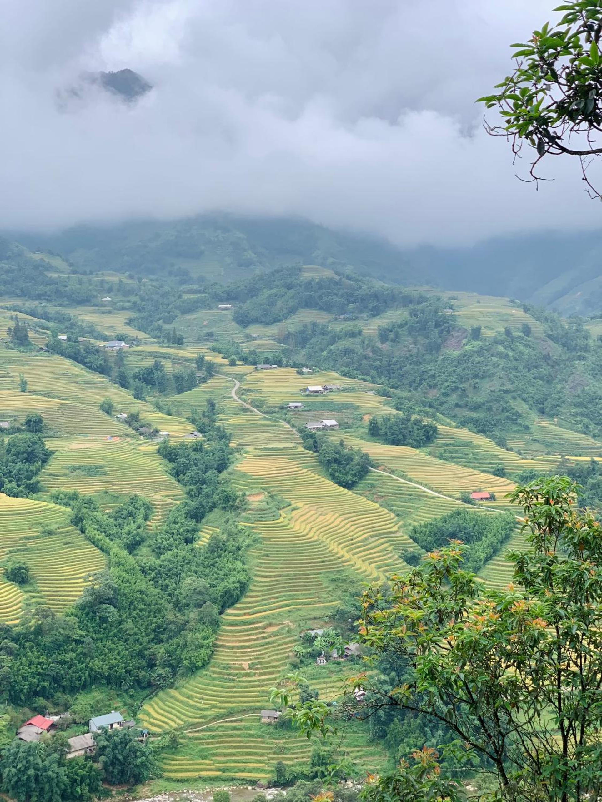 MUONG HOA Peaceful HOMESTAY & Sapa view 3