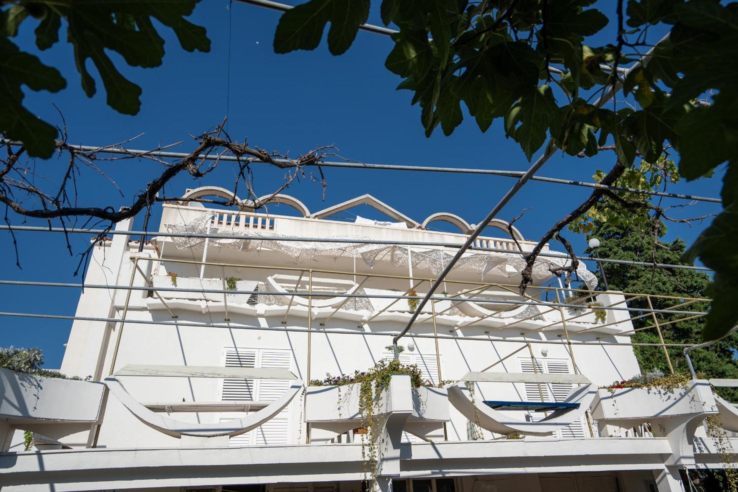 Photo 42