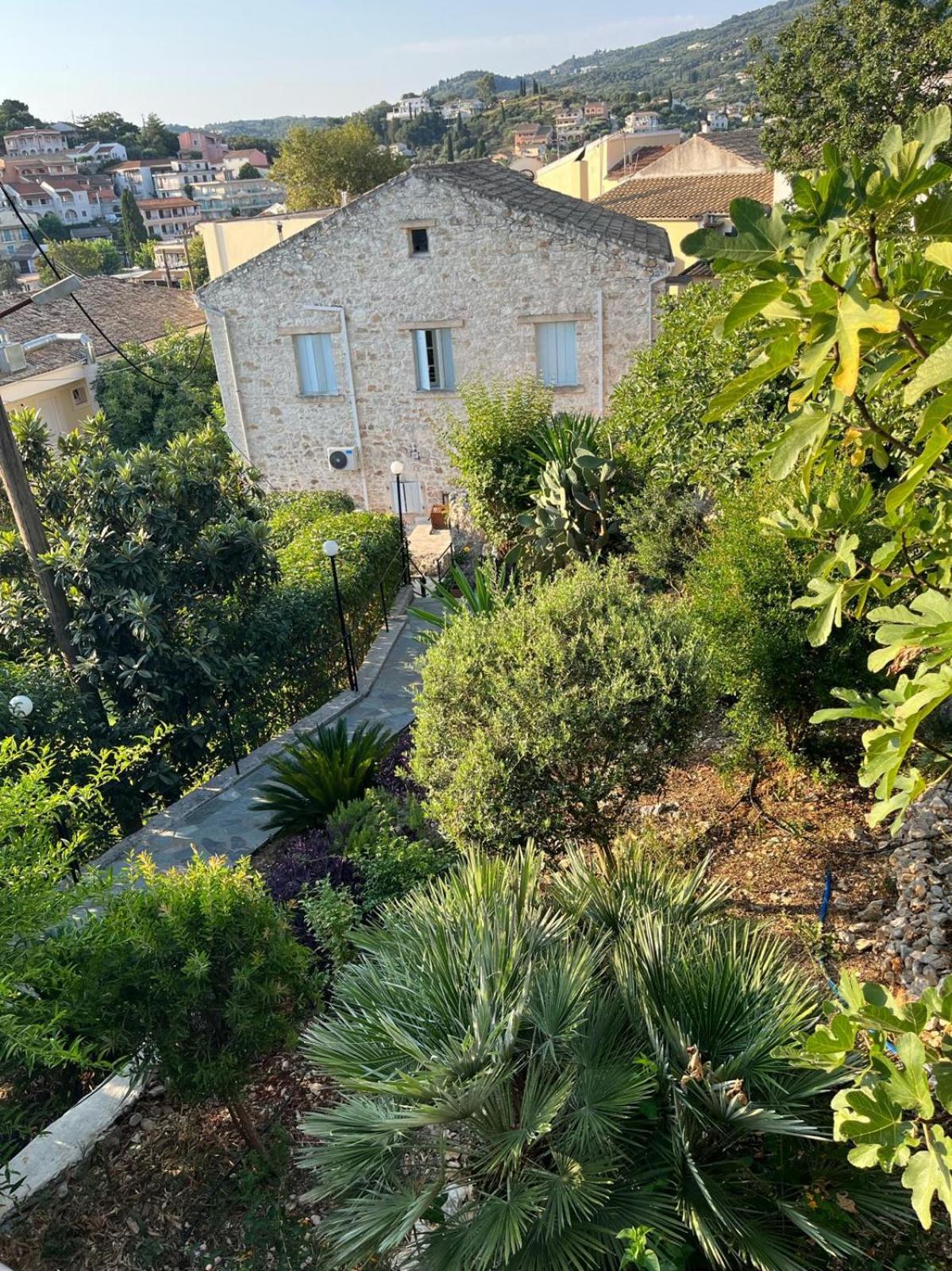 Photo 33