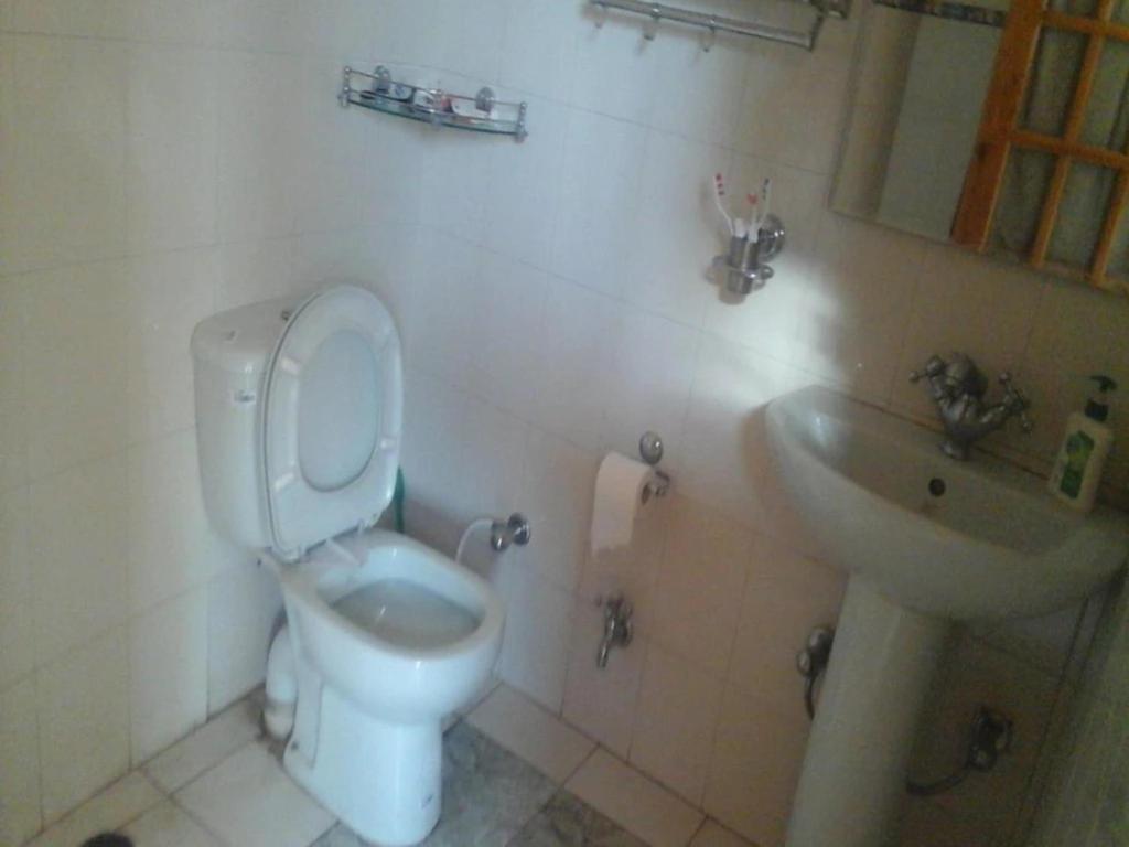 Woody Wood 6BHK view 3