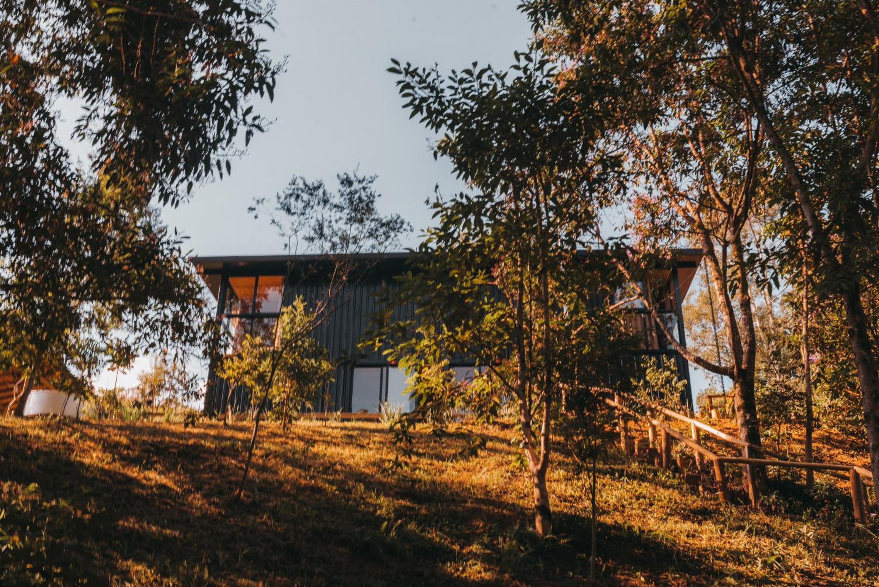 Into The Wild Cabin