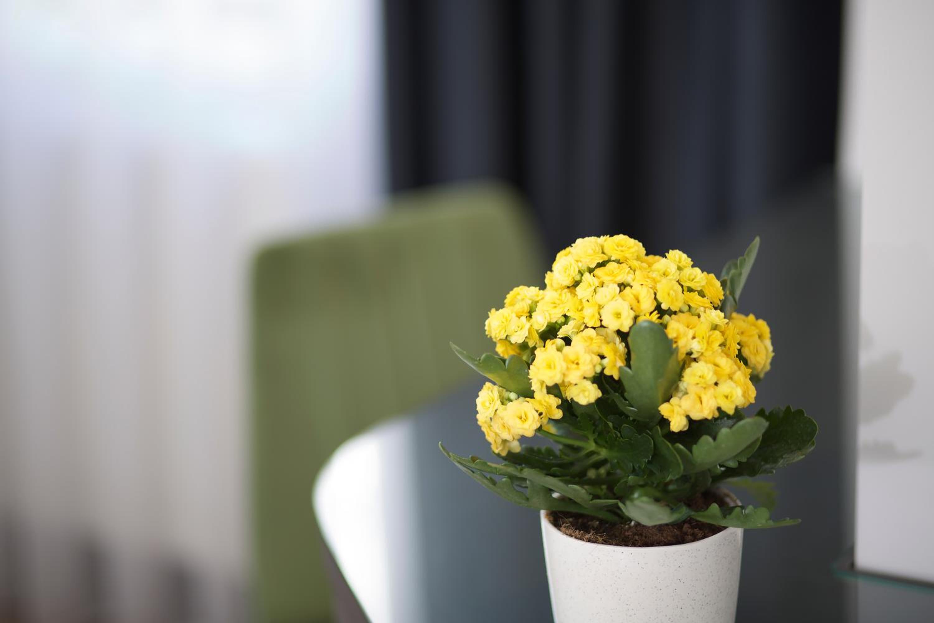 Eyfel Otel - Image 65