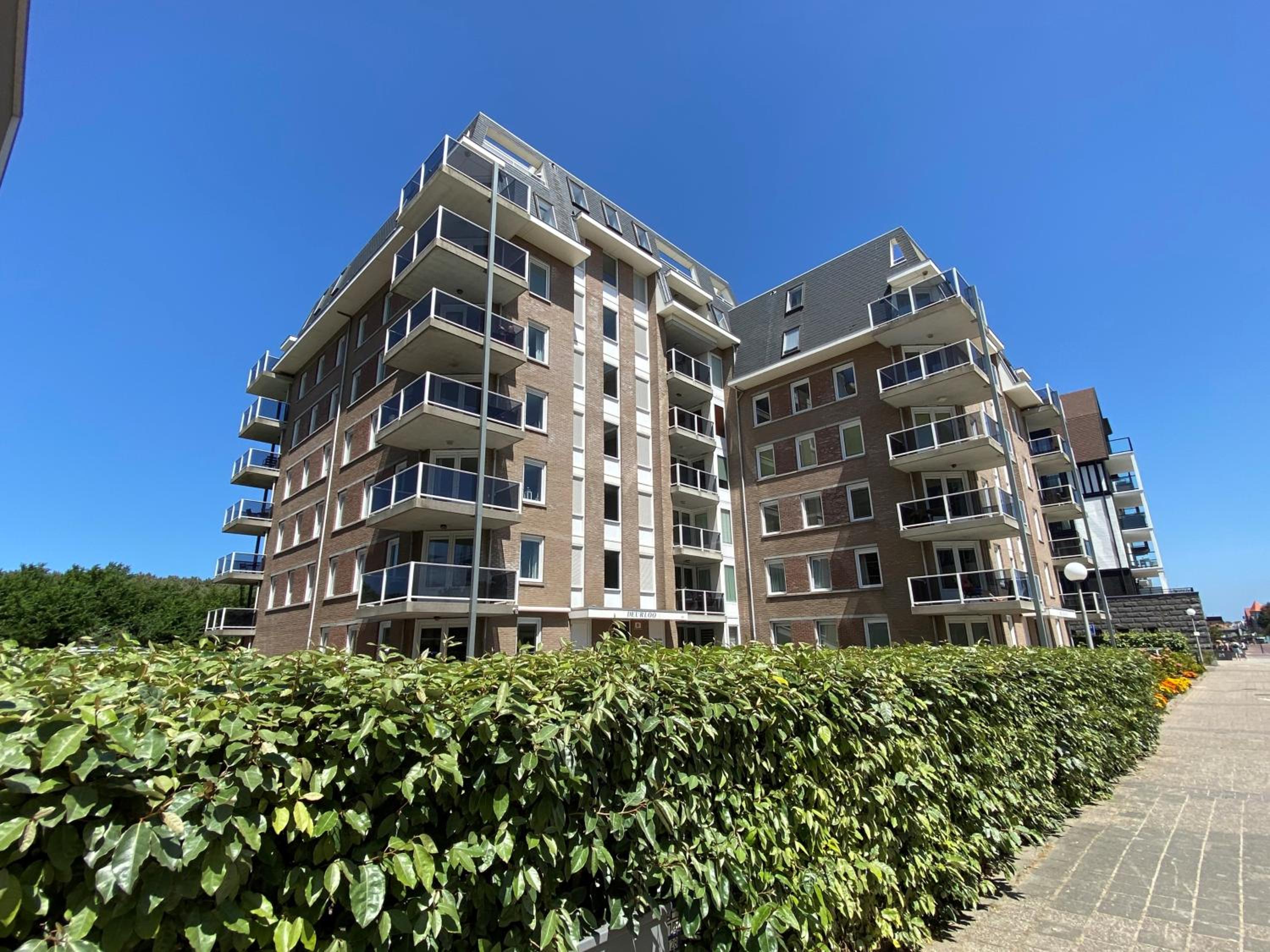 Zwinneblomme, Deurloo 55 04 Cadzand view 4