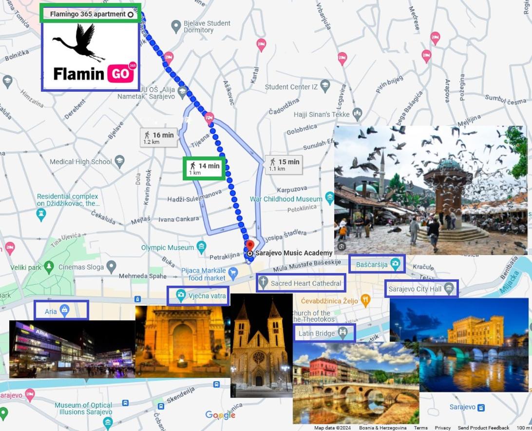Flamingo 365 - near city center with free parking