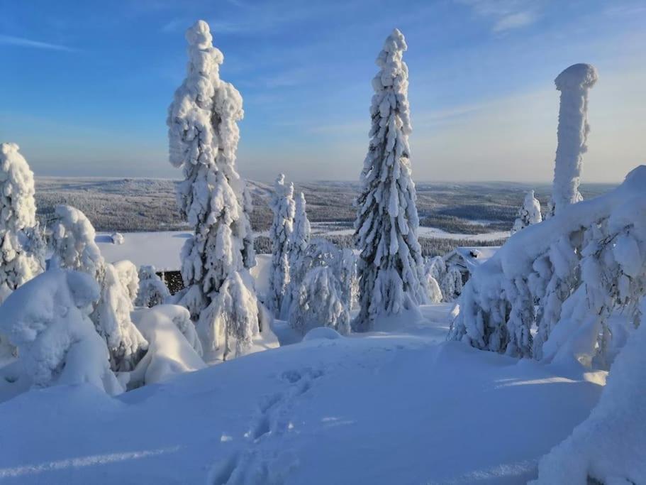 Viihtyisä ja tilava mökki, Pytkykaksonen B