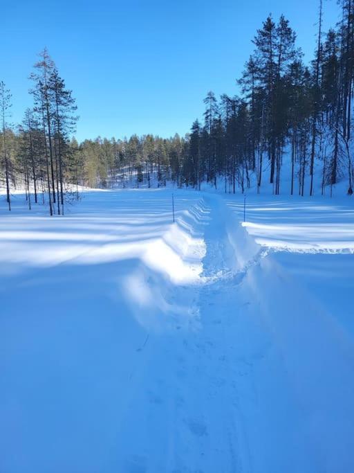 Viihtyisä ja tilava mökki, Pytkykaksonen B